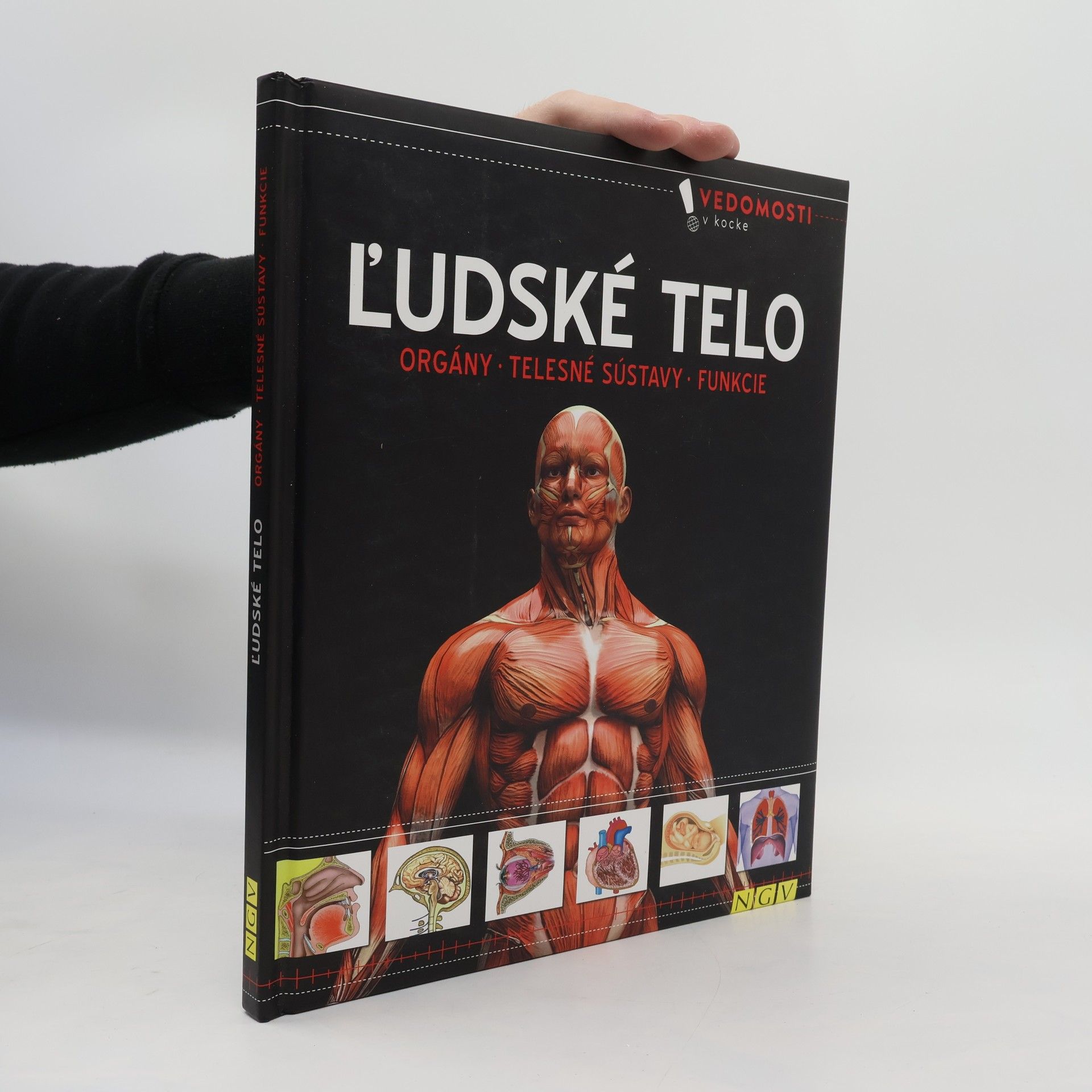 Kolektiv autorů Ľudské telo