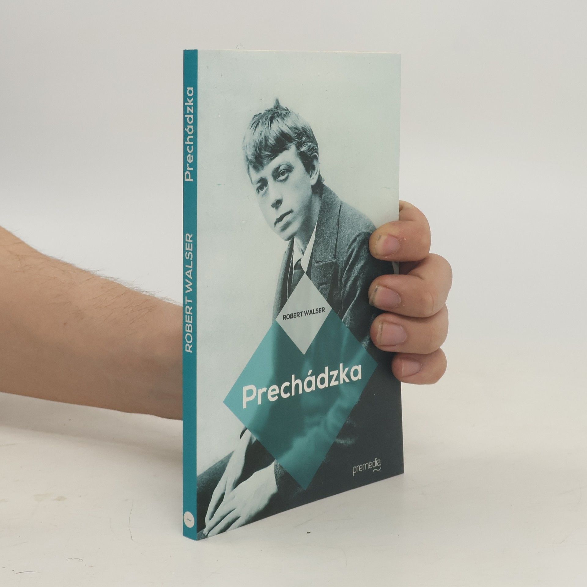Robert Walser Prechádzka