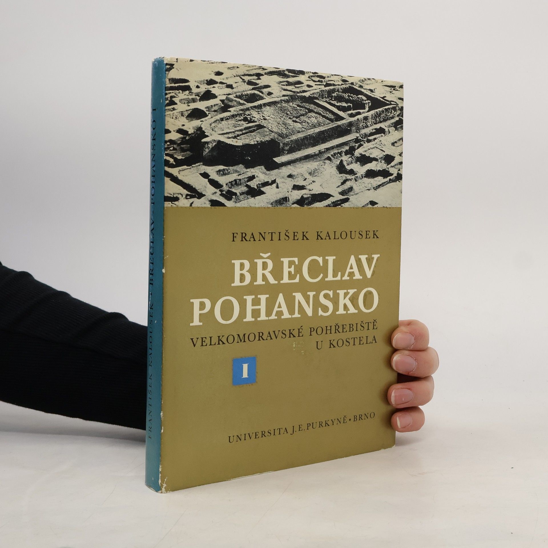 František Kalousek Břeclav-Pohansko I