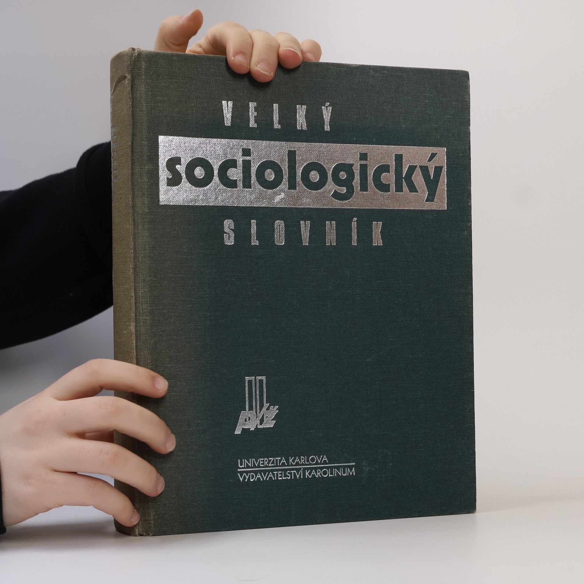 Velký sociologický slovník. 2. svazek, P-Z