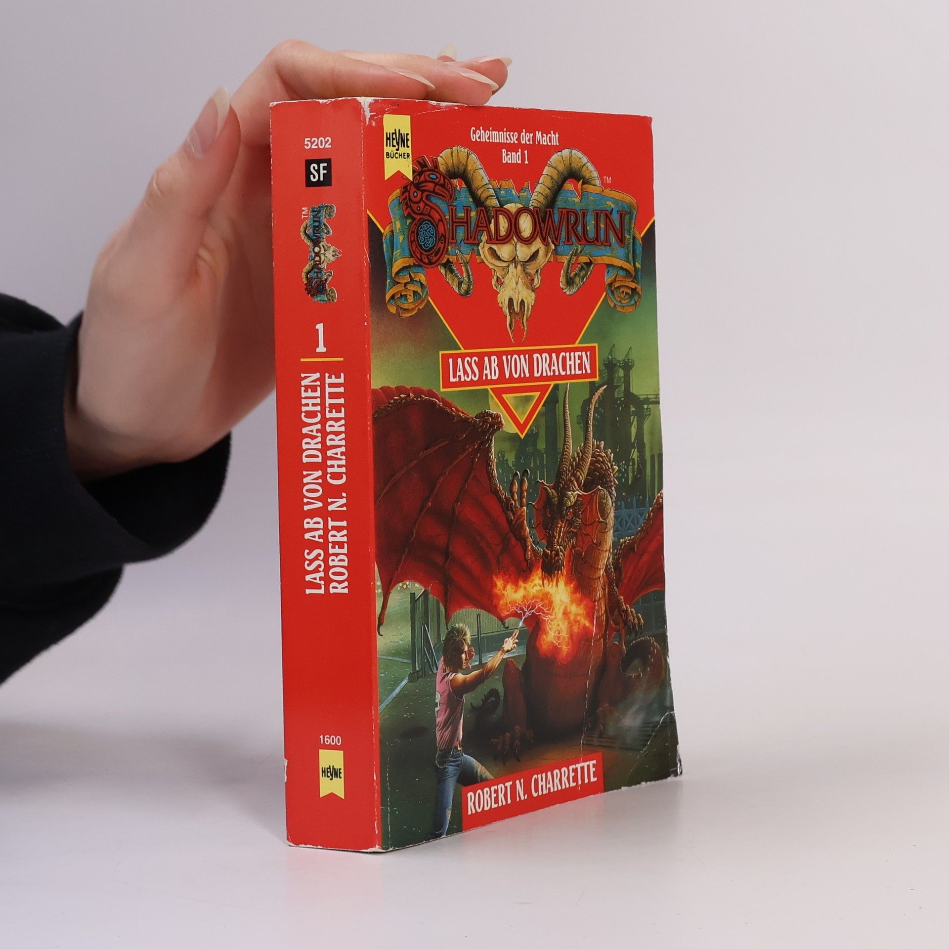 Geheimnisse der Macht - 1: Laß ab von Drachen