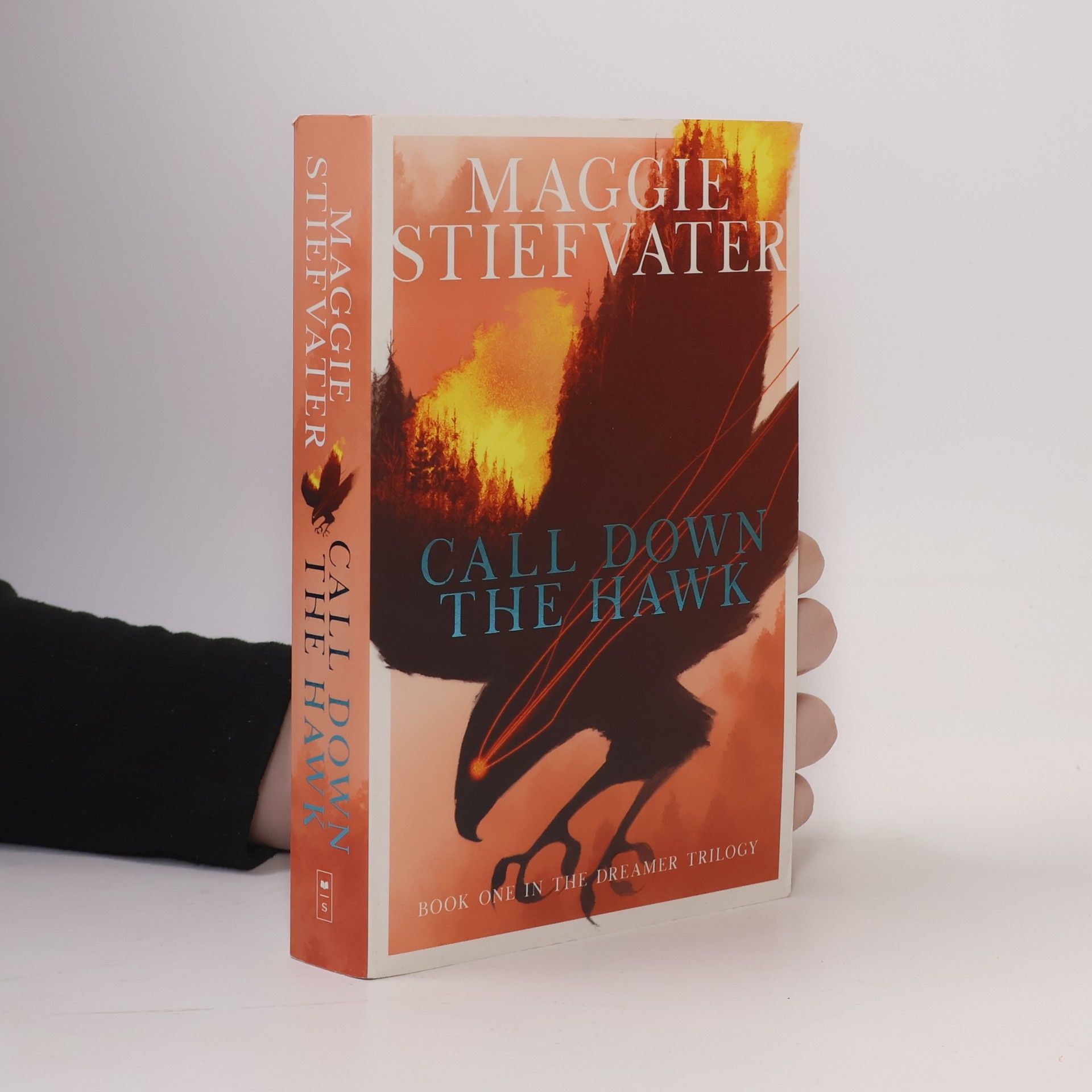 Maggie Stiefvaterová Call Down the Hawk