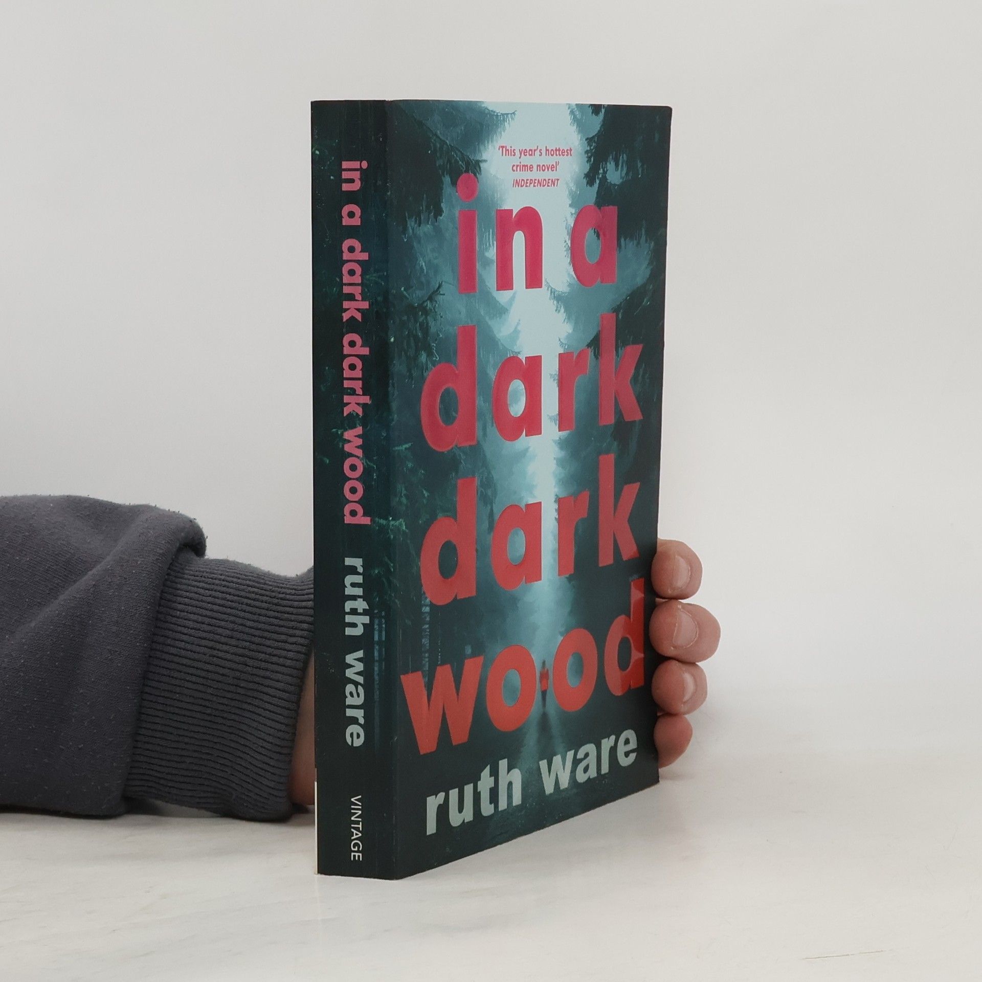 Ruth Ware In a dark, dark wood