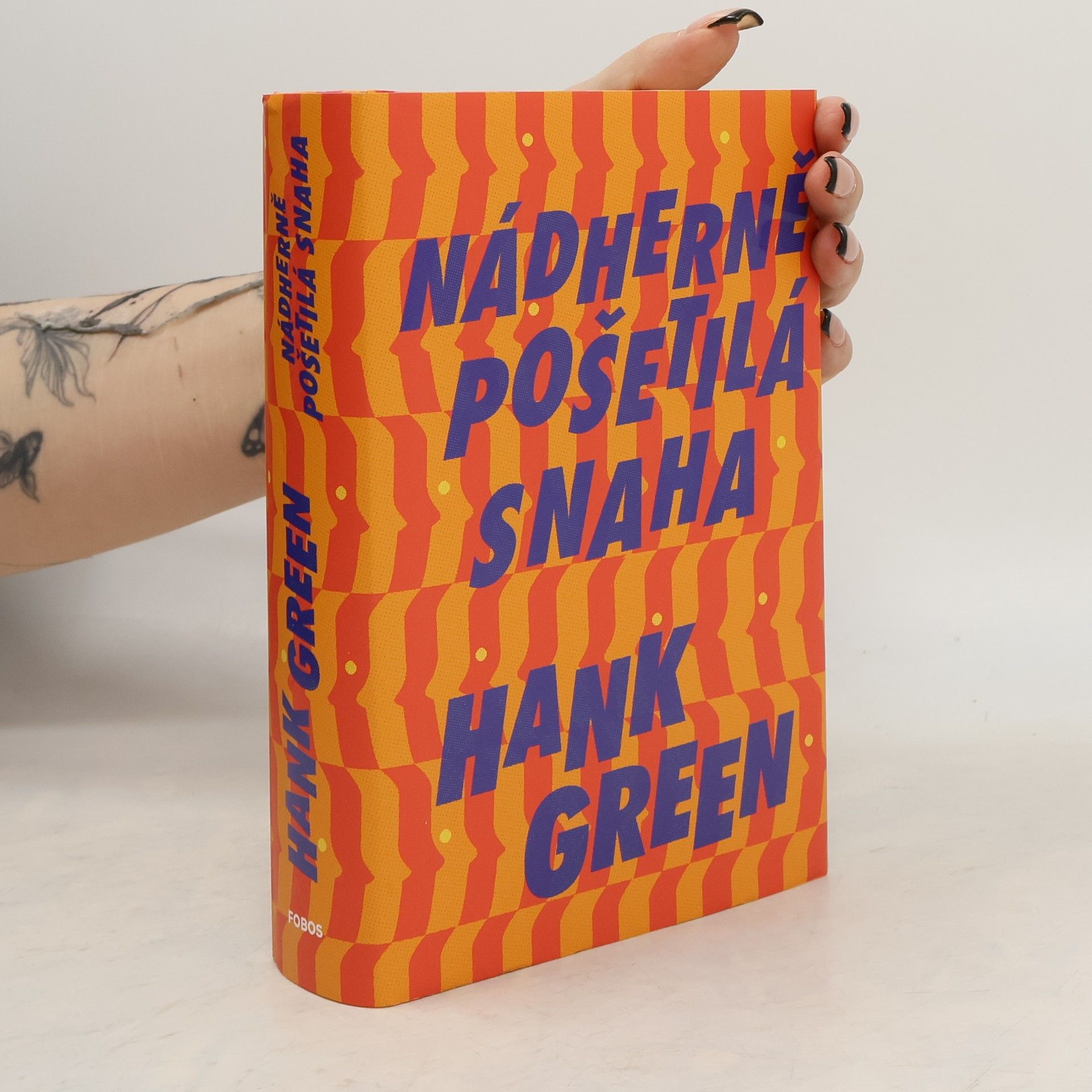 Hank Green Nádherně pošetilá snaha