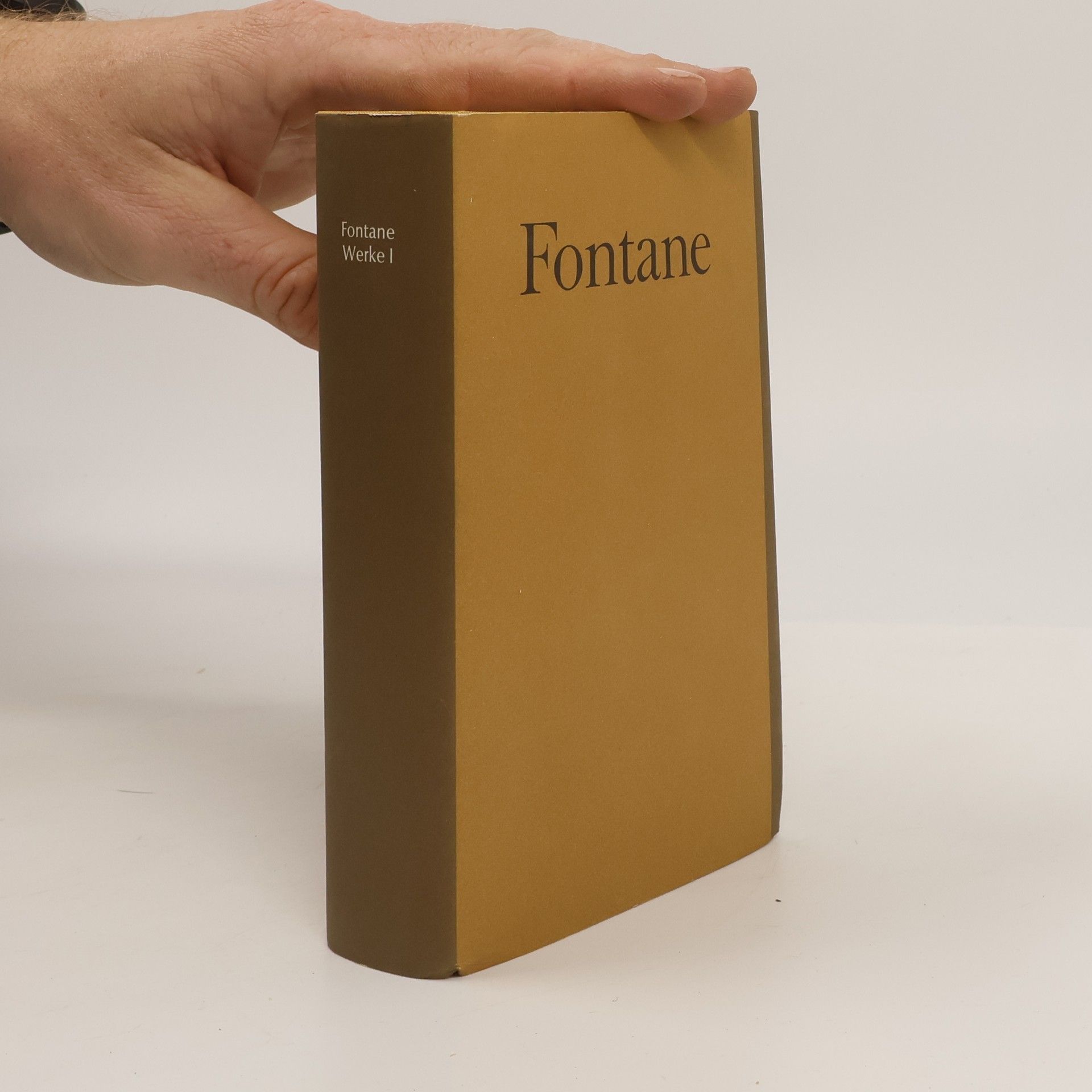 Theodor Fontane Werke I
