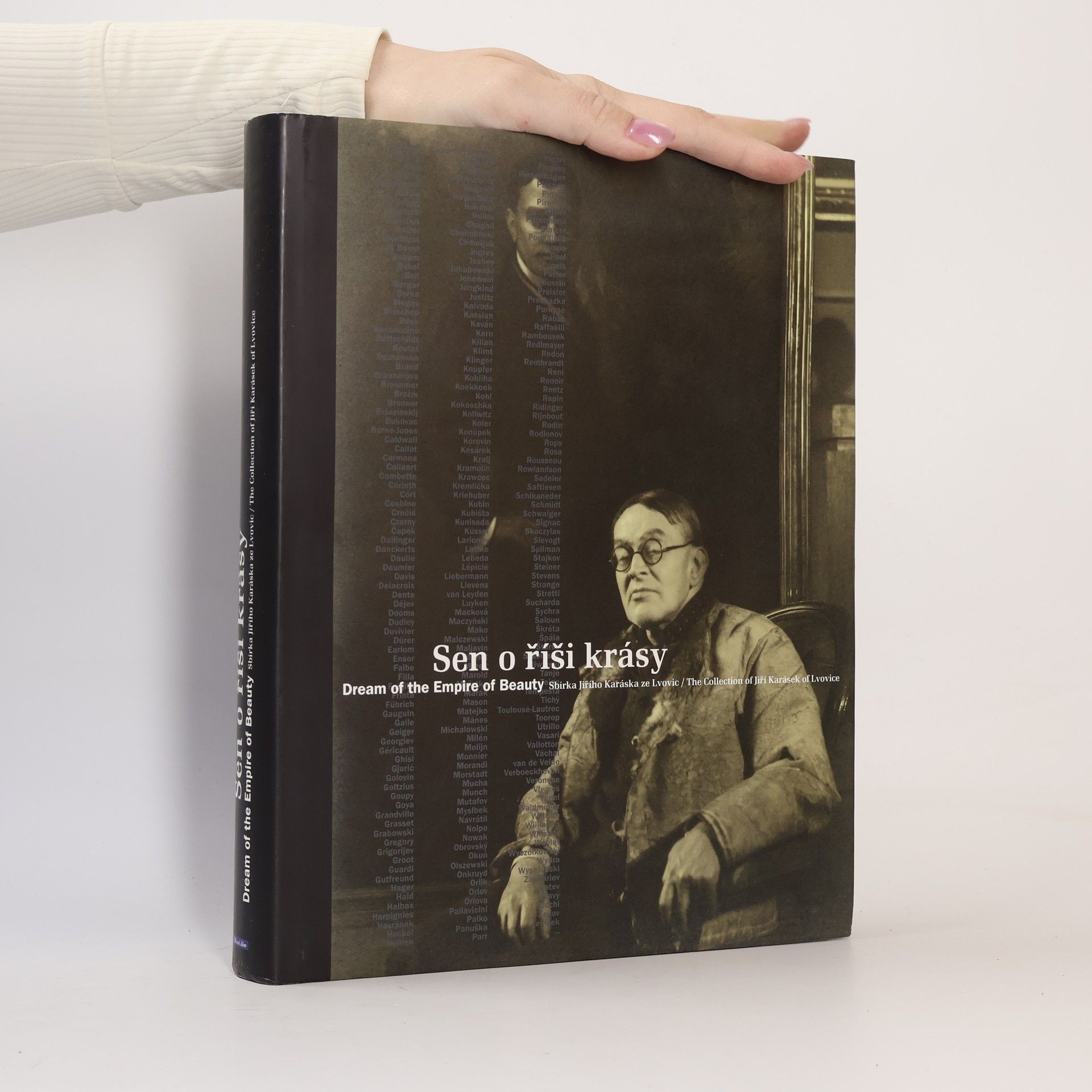 Kolektiv autorů Sen o říši krásy