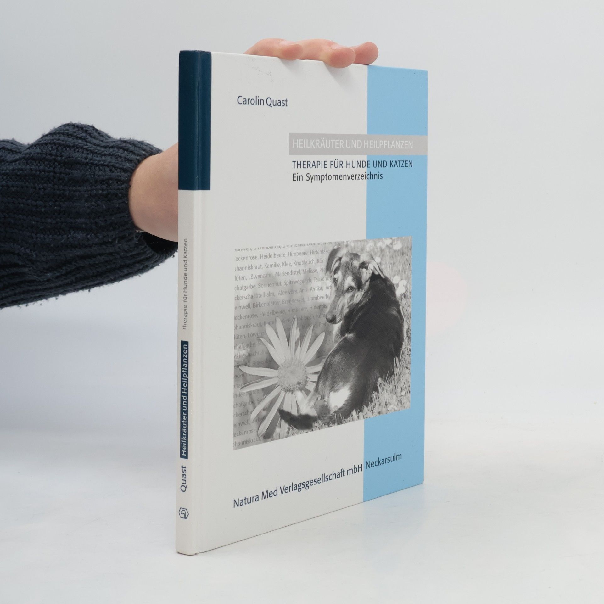 Heilkräuter und Heilpflanzen