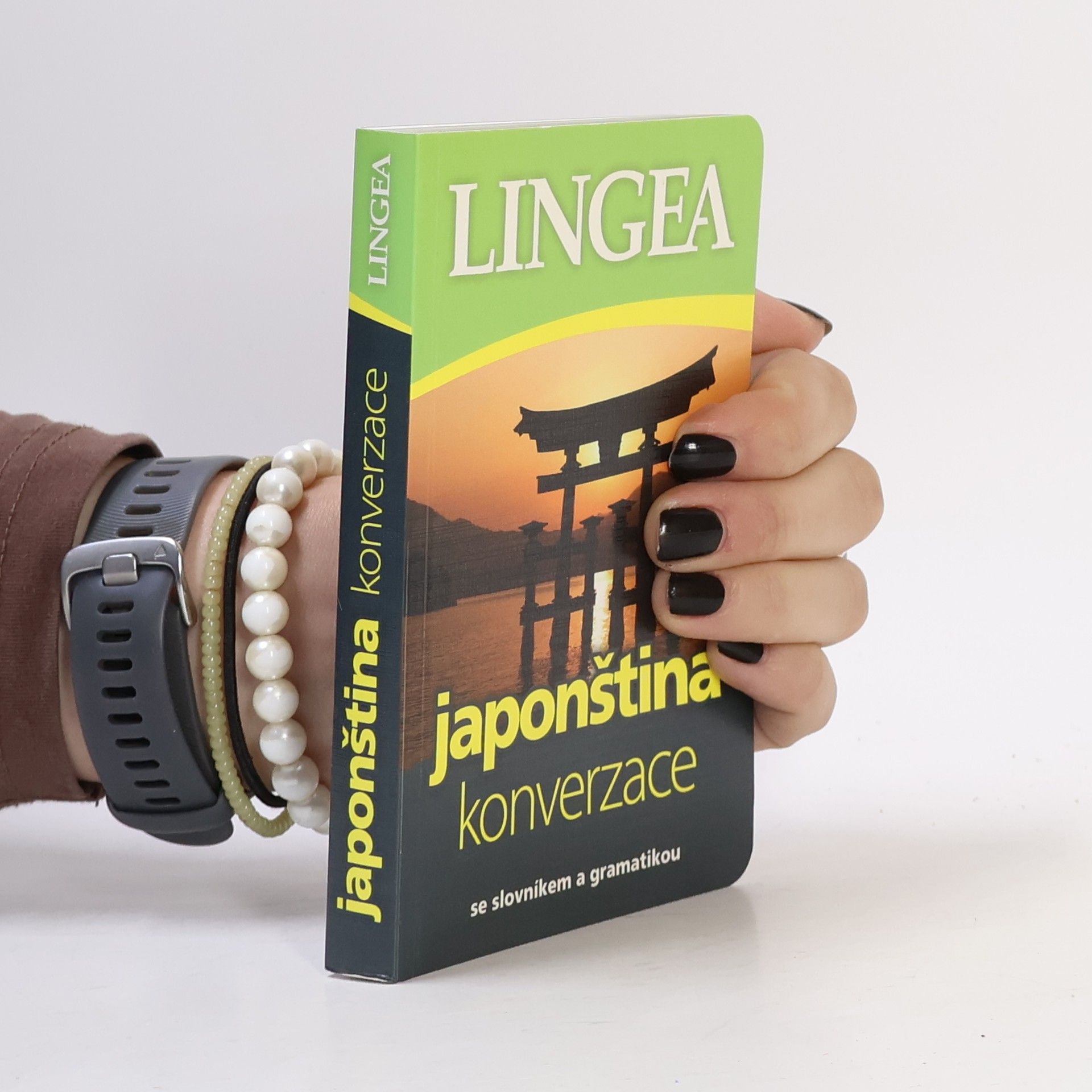 Autorenkollektiv Japonština: Konverzace