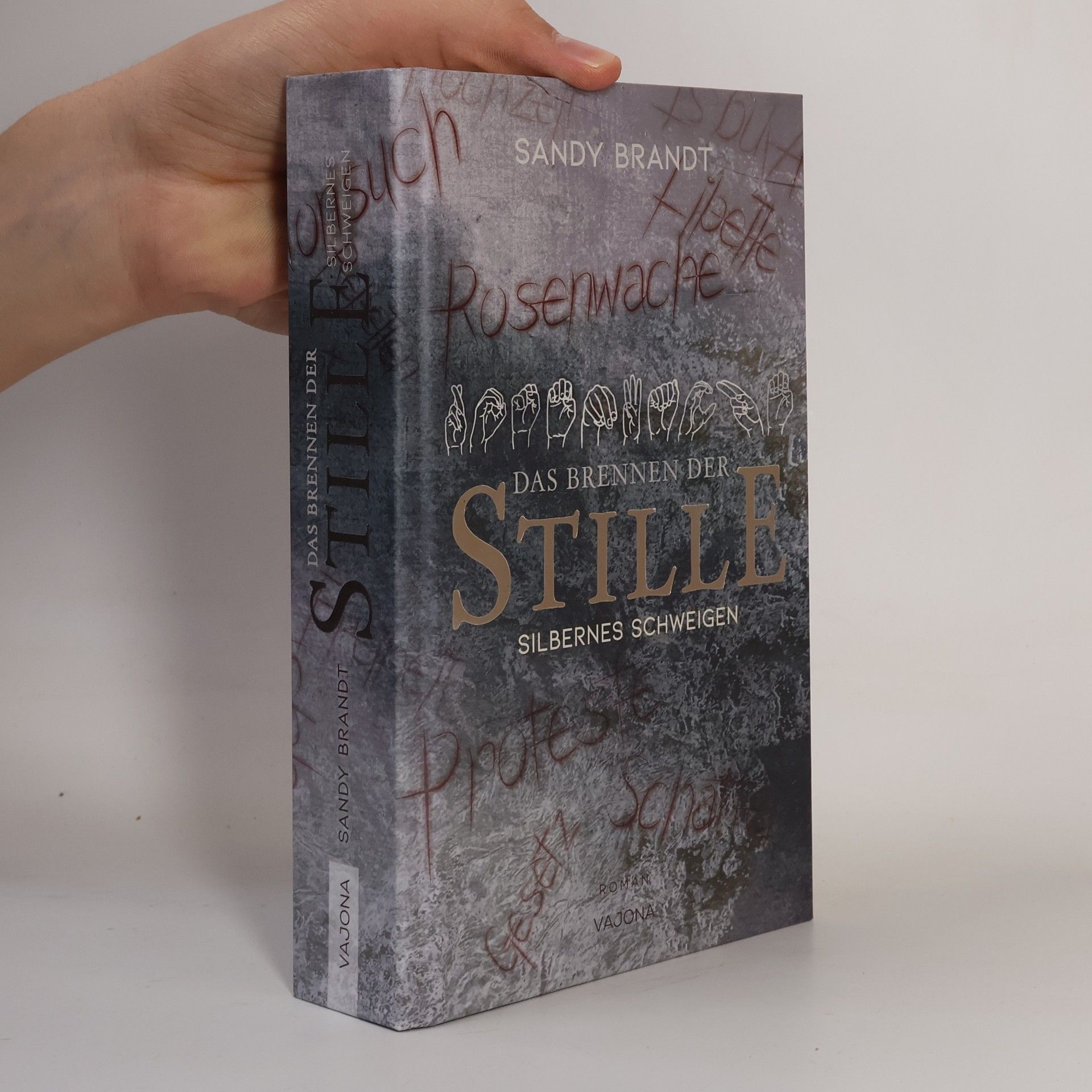 DAS BRENNEN DER STILLE - Silbernes Schweigen (Band 2)