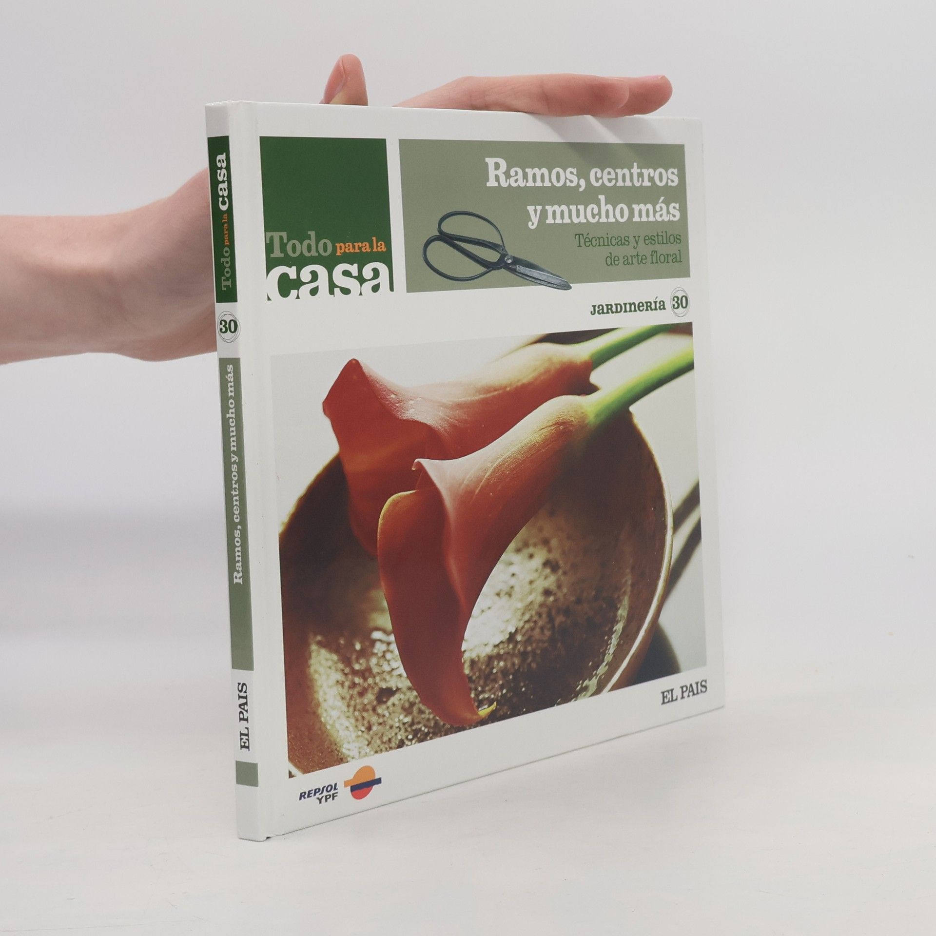 Begoña Grigelmo Ramos, centros y mucho más