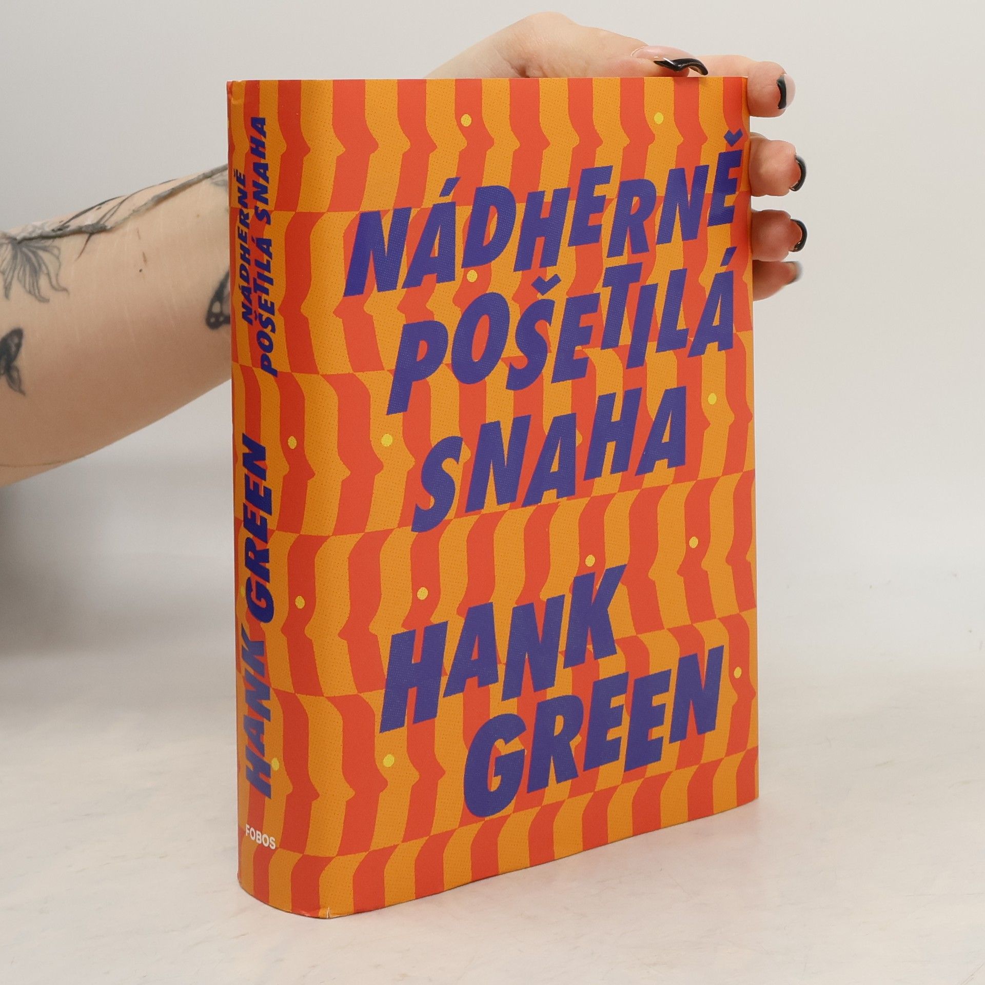 Hank Green Nádherně pošetilá snaha