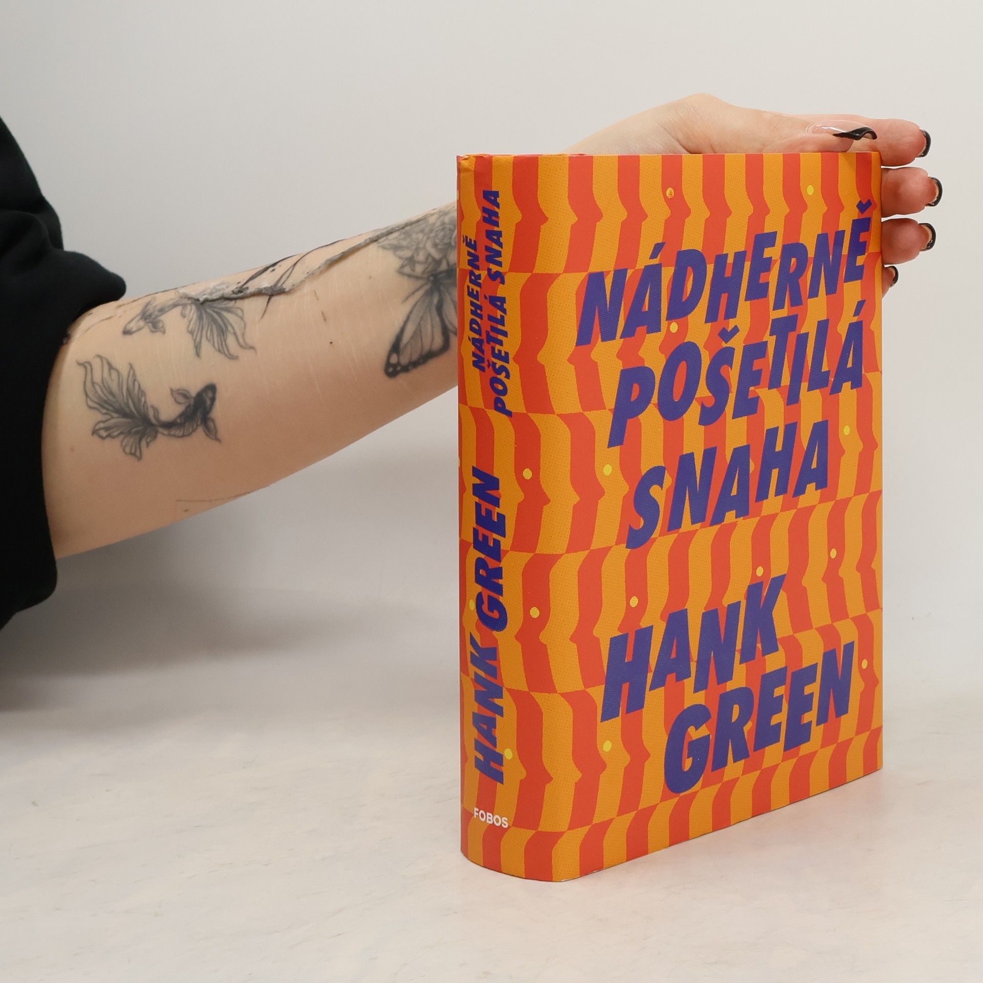 Hank Green Nádherně pošetilá snaha