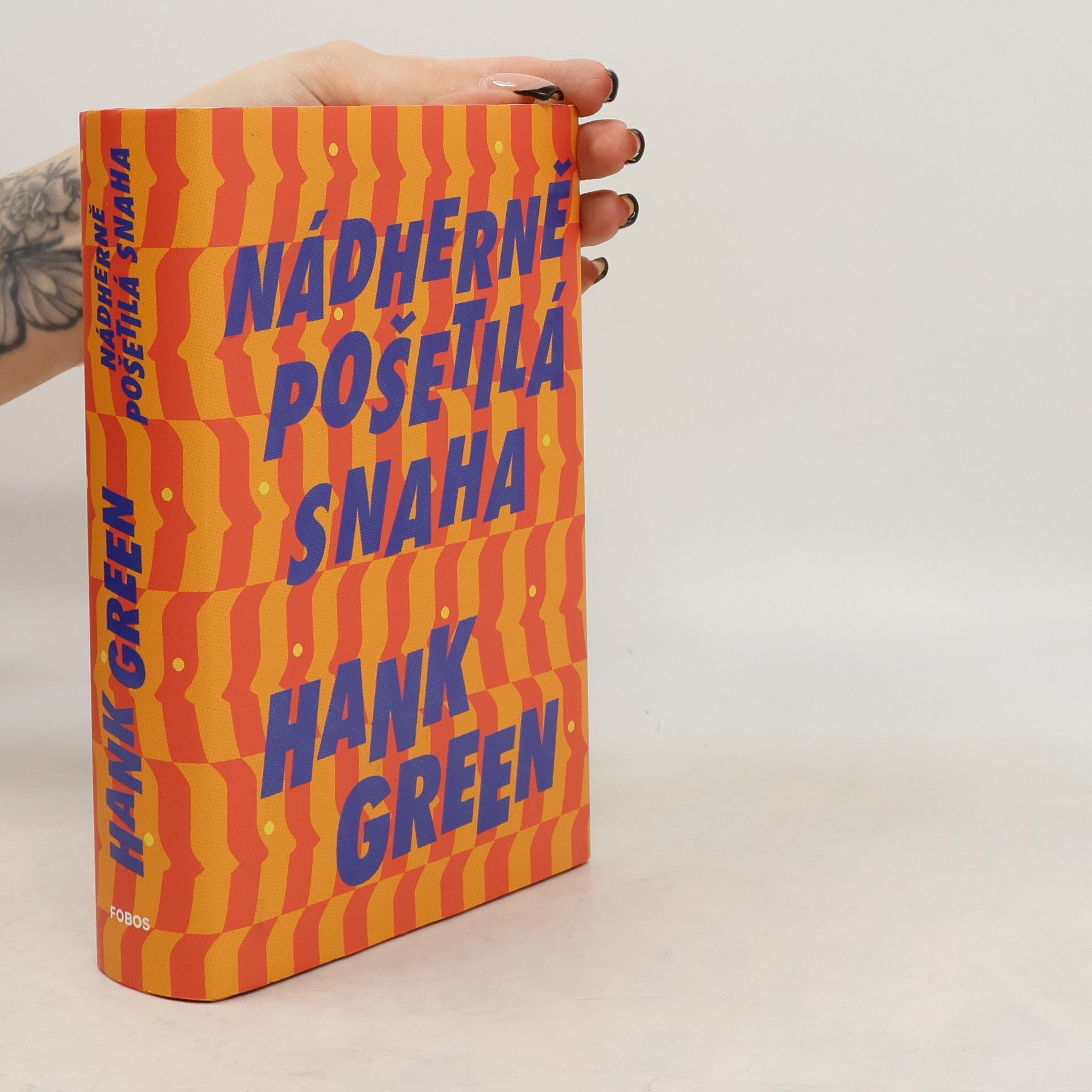 Hank Green Nádherně pošetilá snaha
