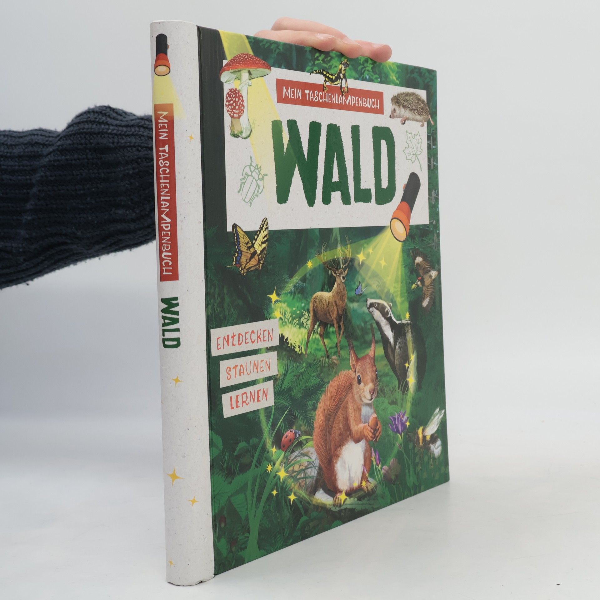 Auteurscollectief Mein Taschenlampenbuch. Wald