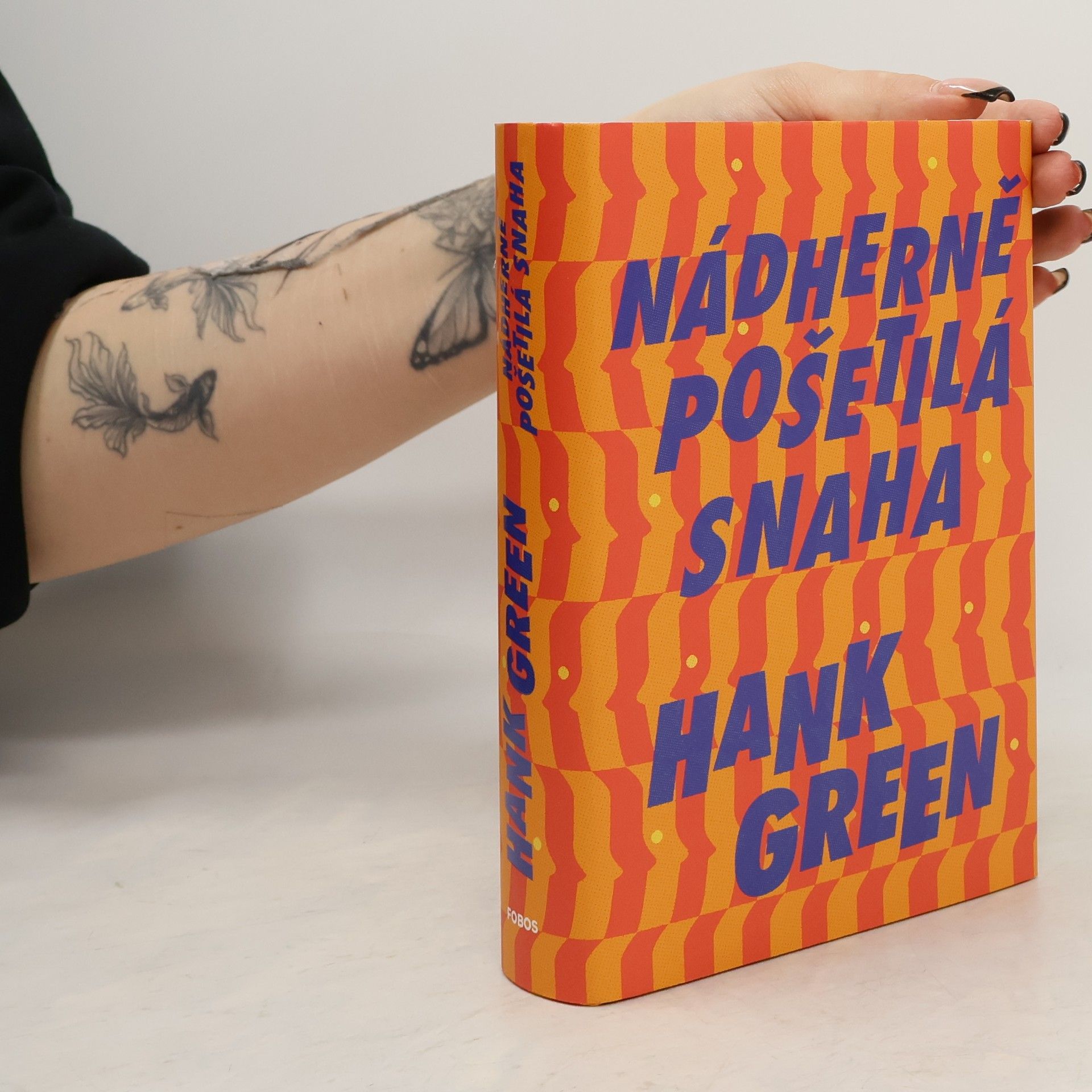 Hank Green Nádherně pošetilá snaha