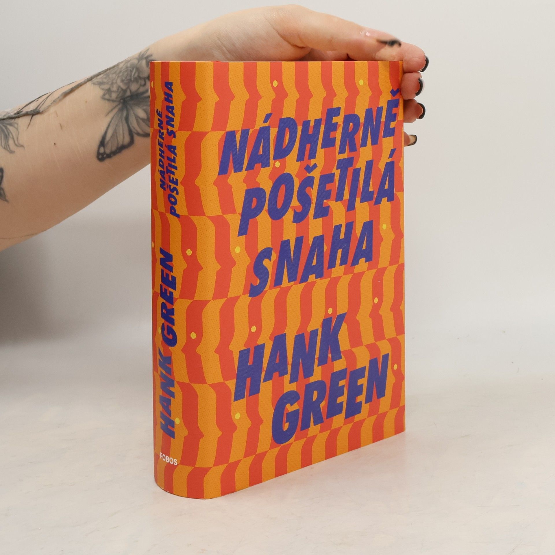 Hank Green Nádherně pošetilá snaha