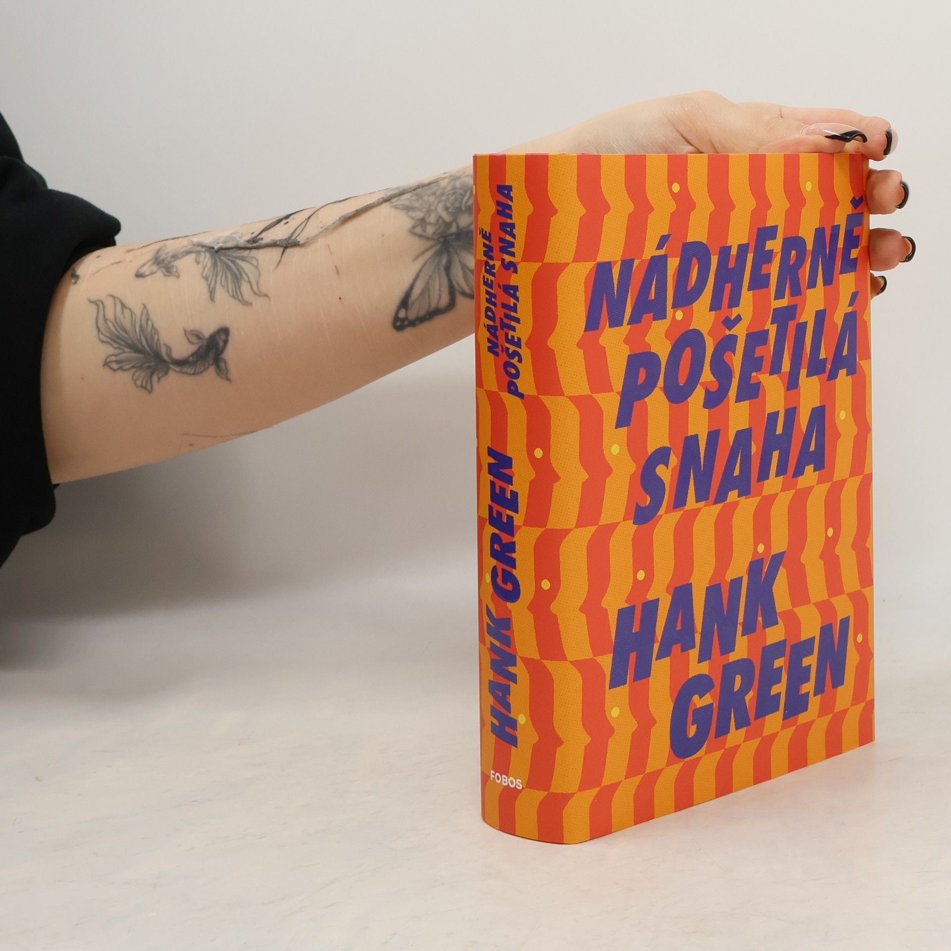 Hank Green Nádherně pošetilá snaha
