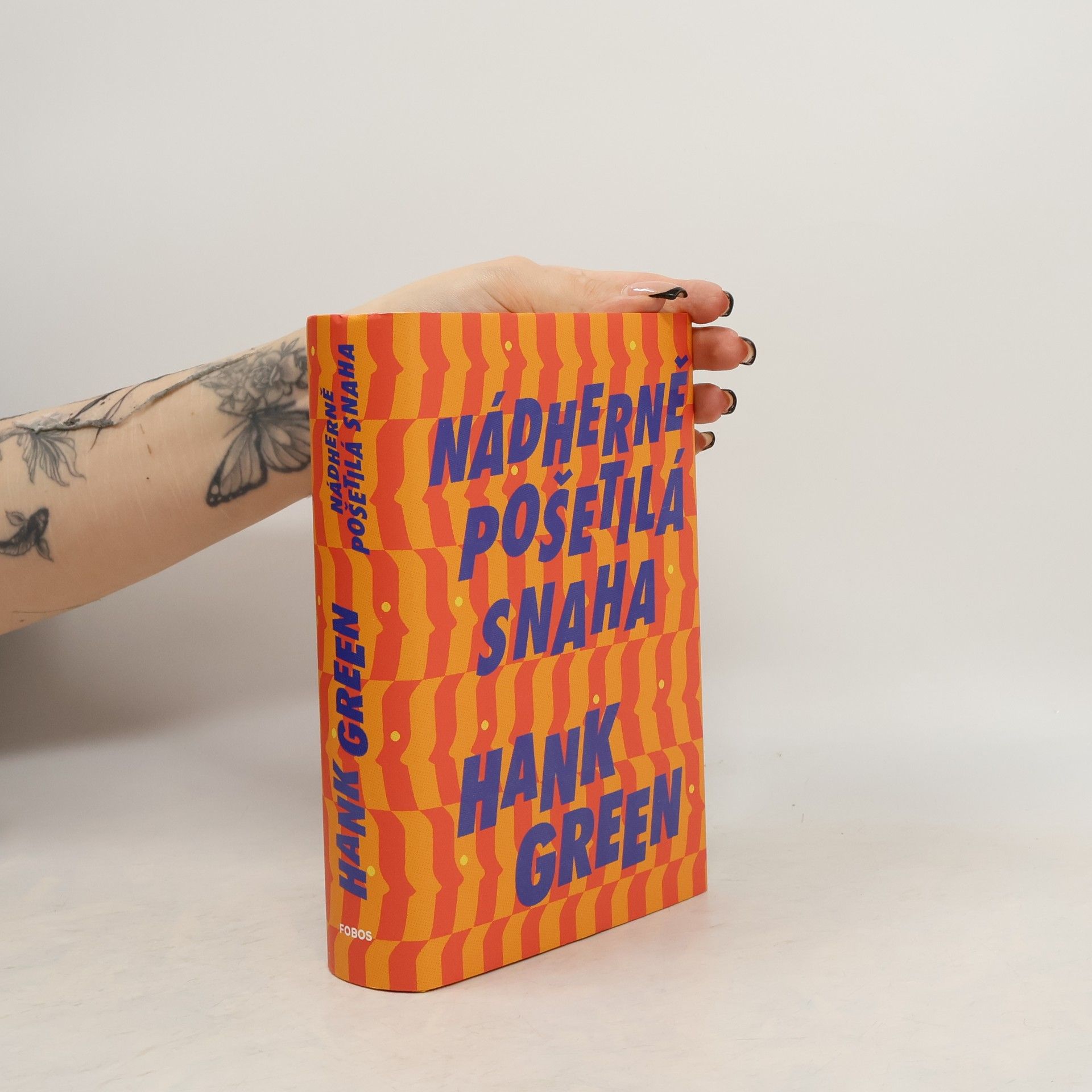 Hank Green Nádherně pošetilá snaha
