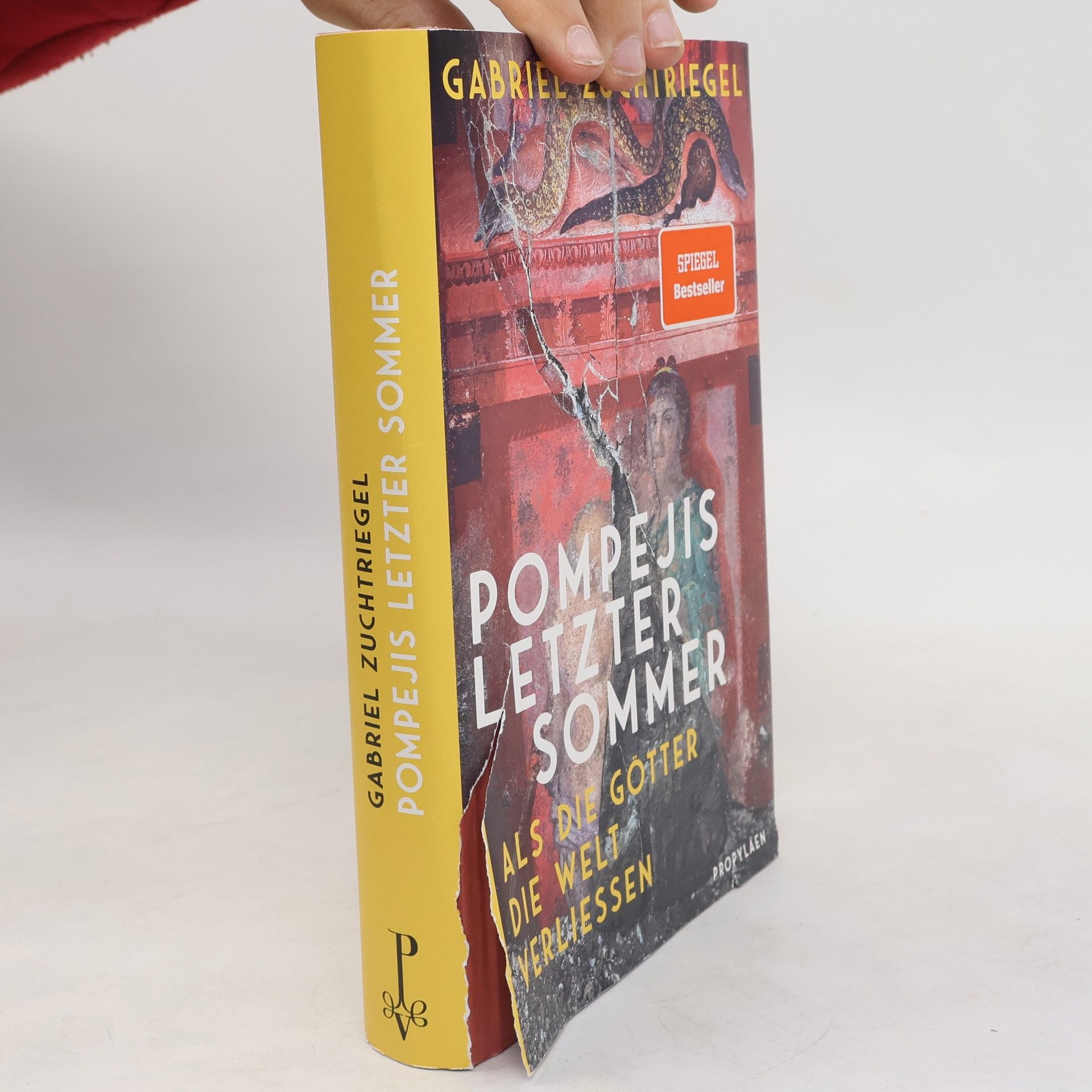Gabriel Zuchtriegel Pompejis letzter Sommer