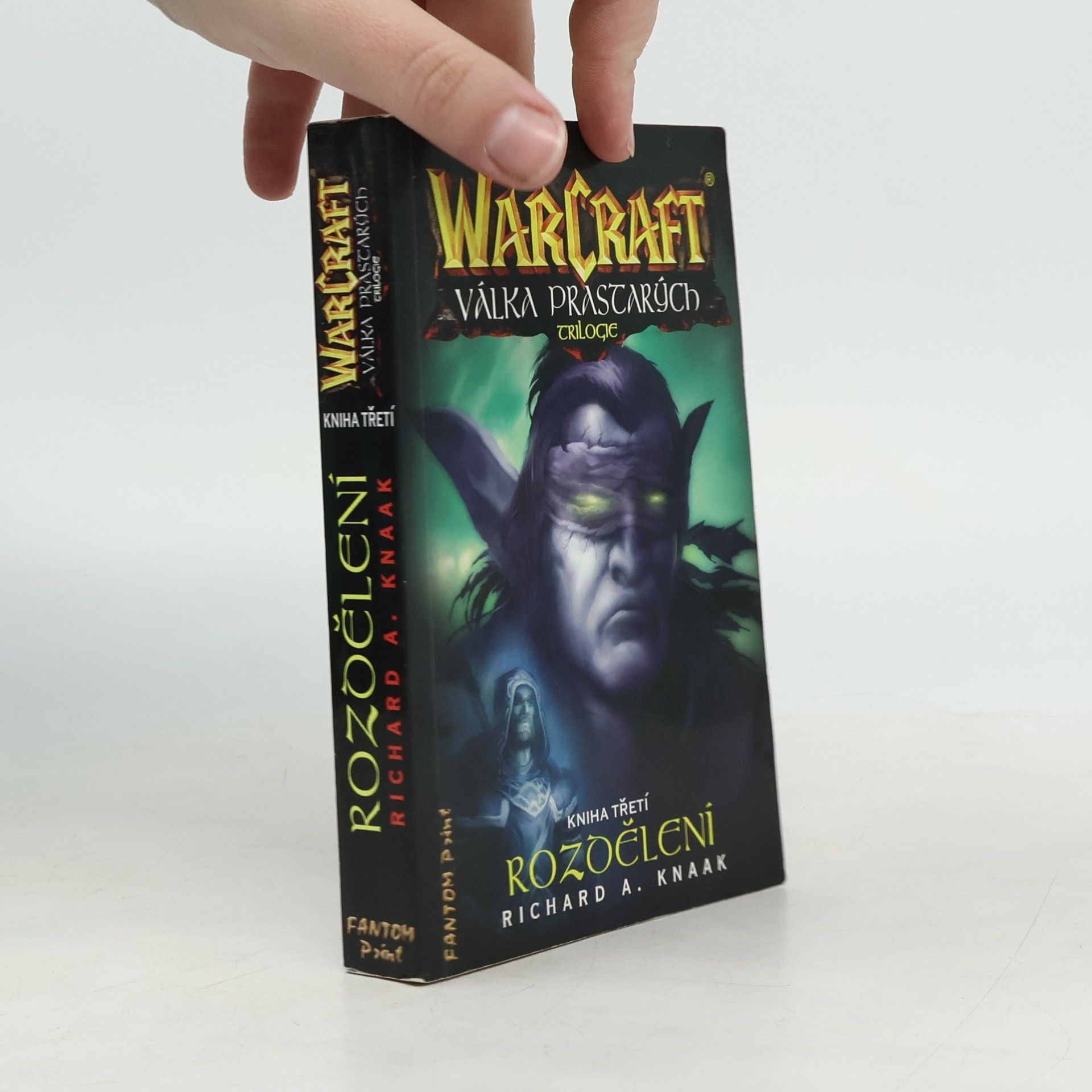 Richard A. Knaak WarCraft. Válka Prastarých 3. Rozdělení