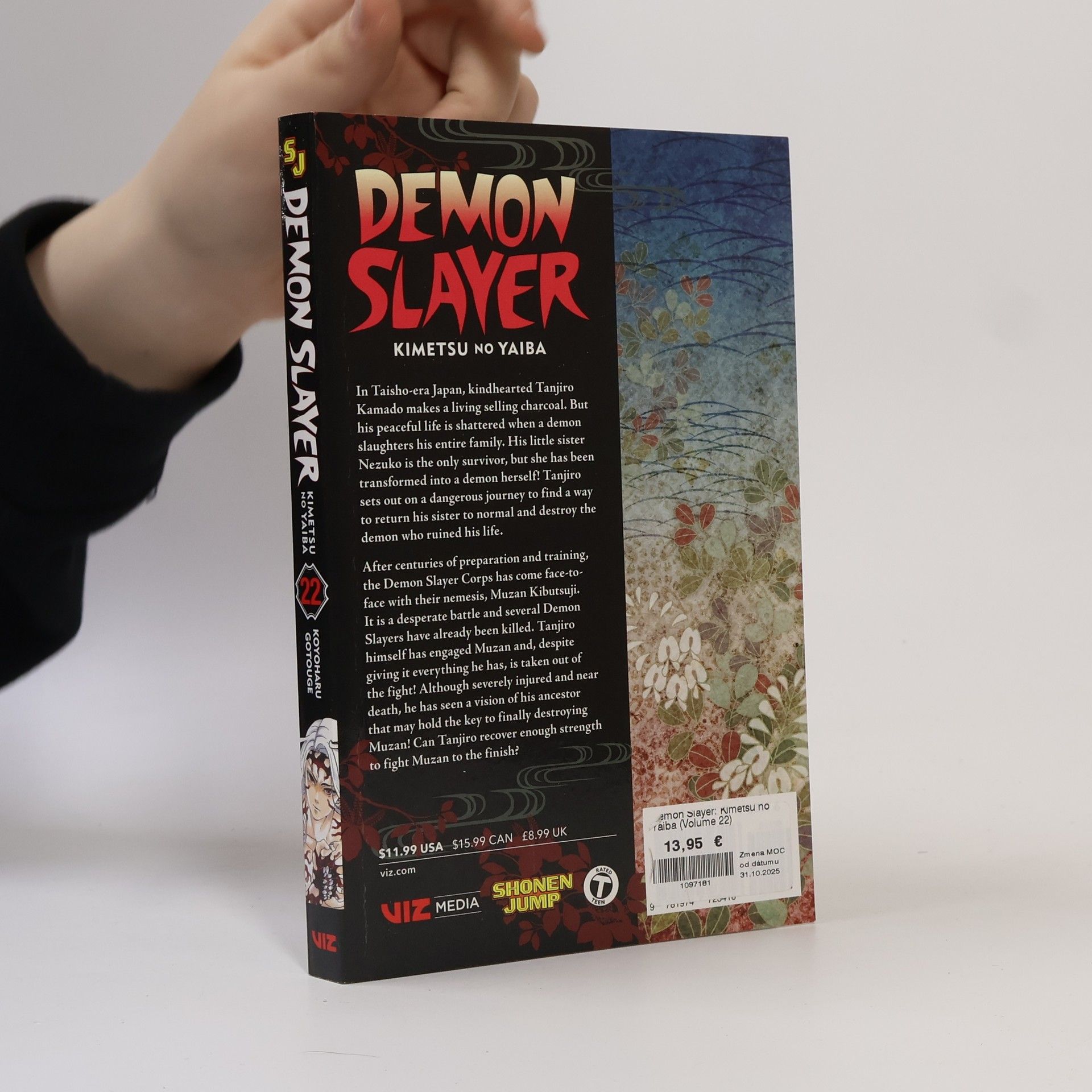 Koyoharu Gotōge Demon Slayer 22