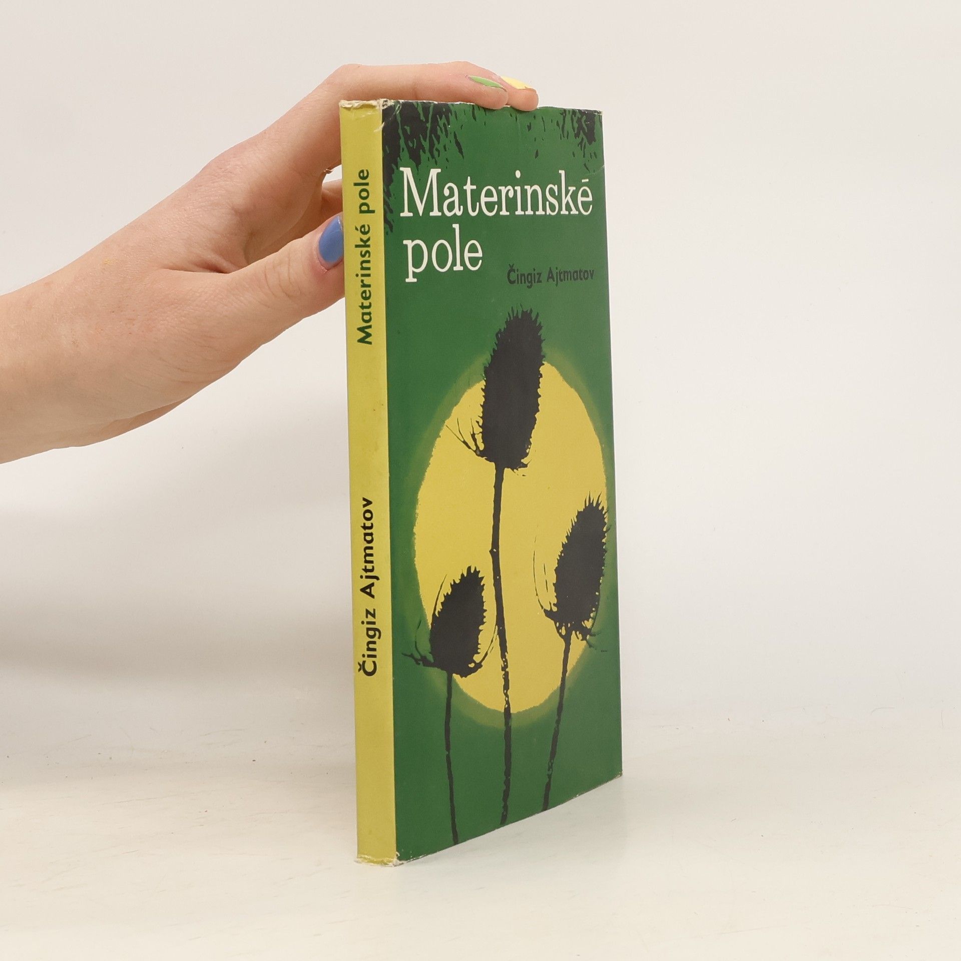 Čingiz Torekulovič Ajtmatov Materinské pole