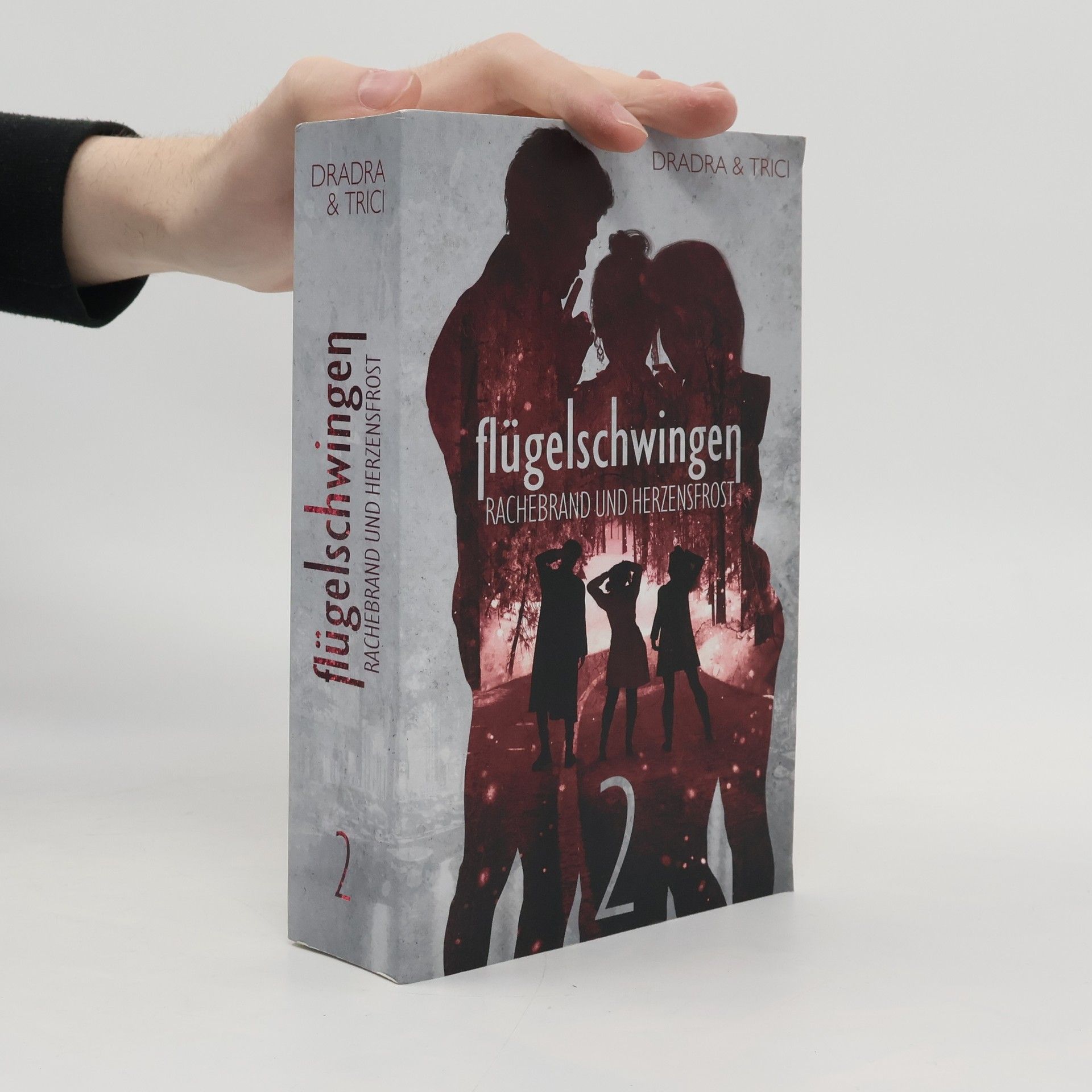 Dradra Grimm Flügelschwingen Band 2
