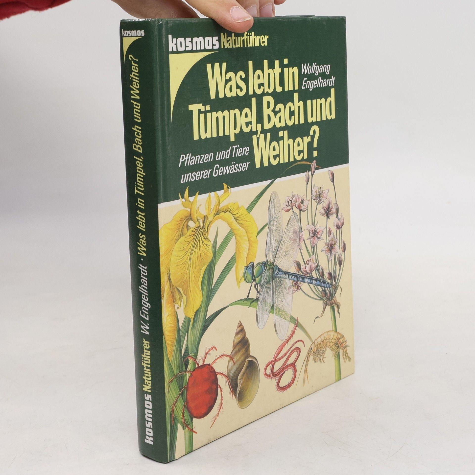 Was lebt in Tümpel, Bach und Weiher? : Pflanzen und Tiere unserer Gewässer