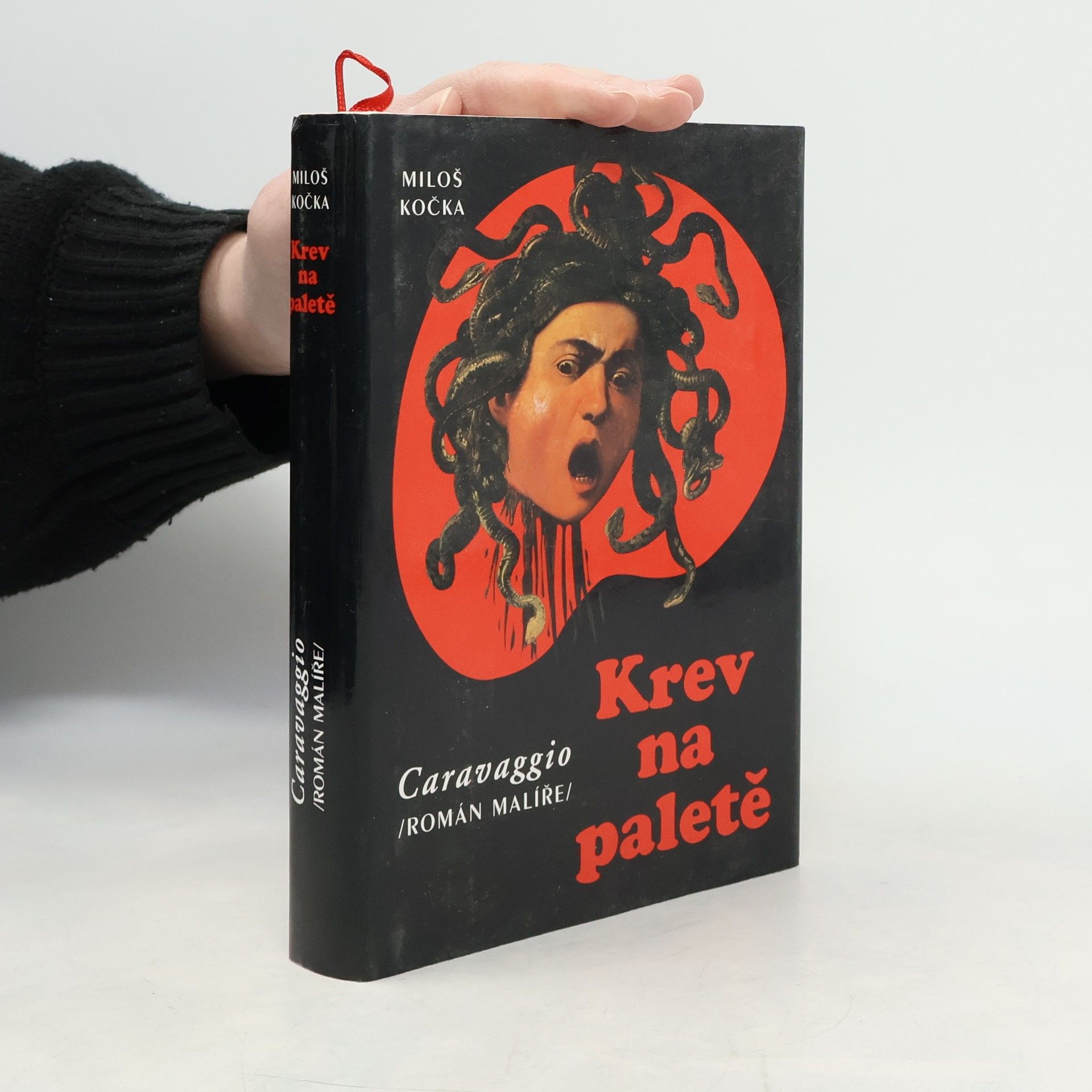 Miloš Kočka Krev na paletě