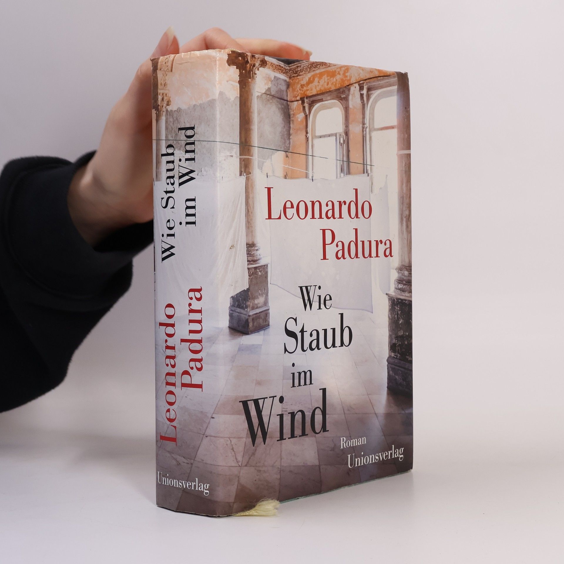 Leonardo Padura Fuentes Wie Staub im Wind