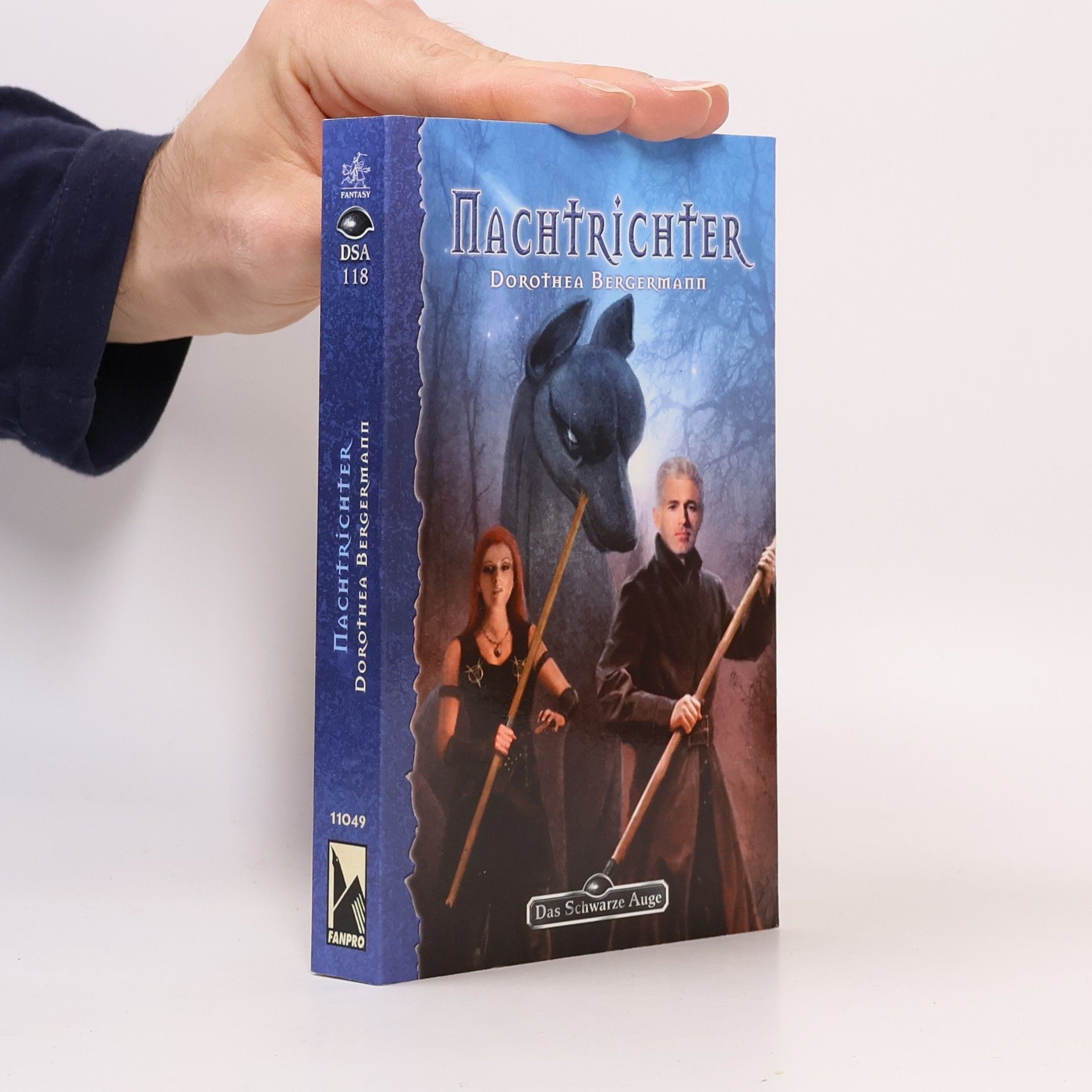 Dorothea Bergermann Das Schwarze Auge - 118: Nachtrichter