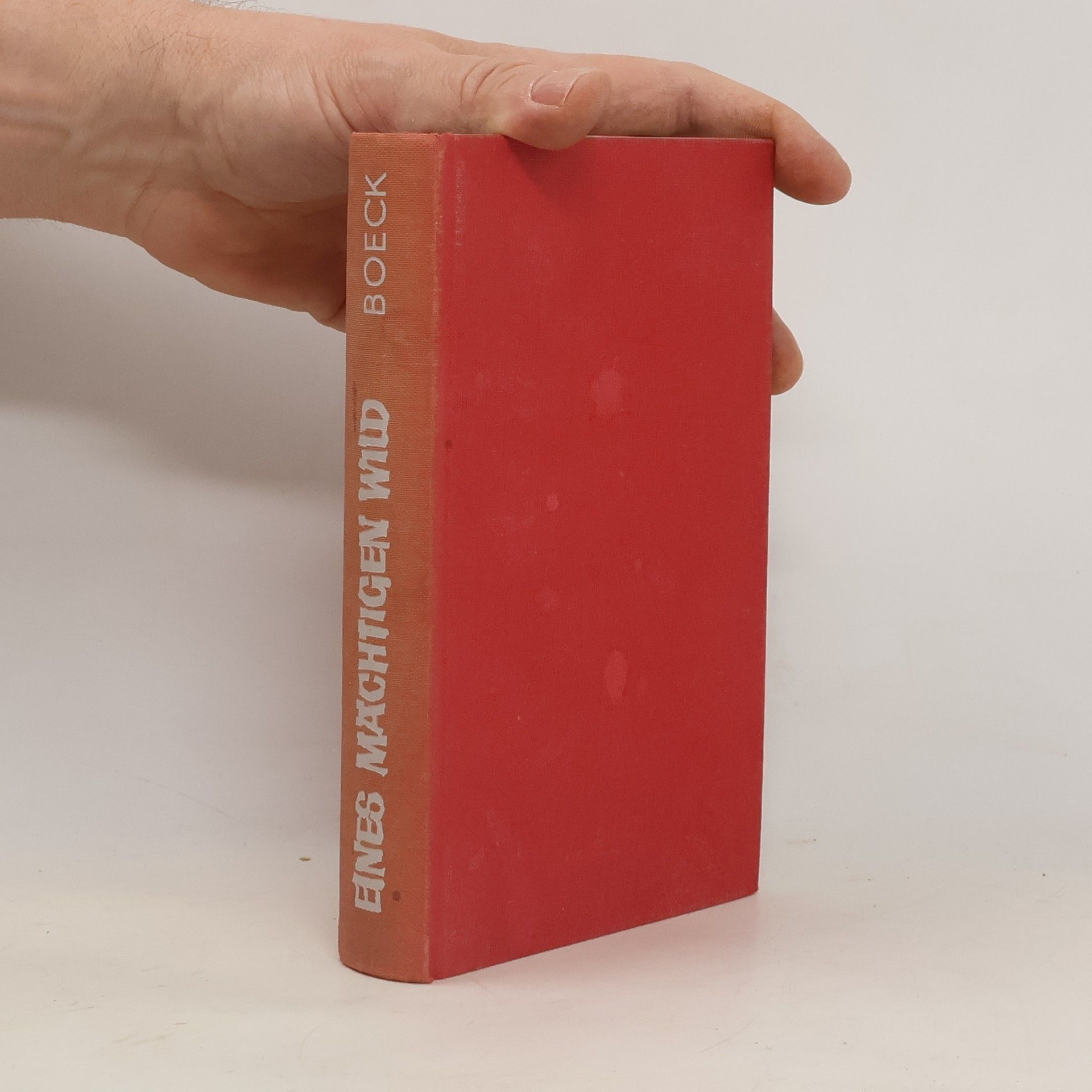 Eines mächtigen Wild