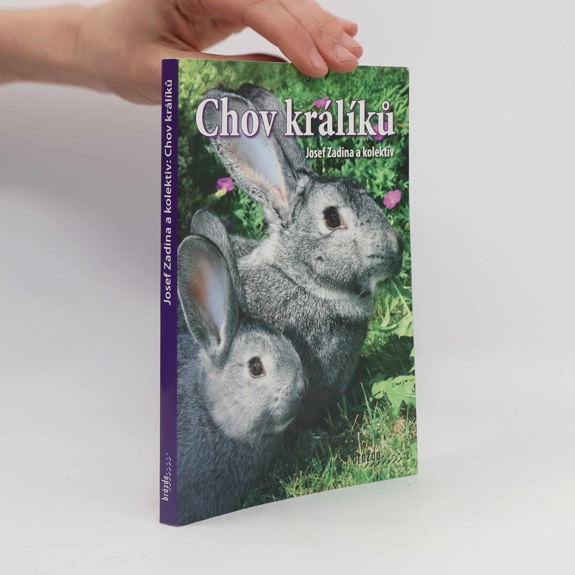 Josef Zadina Chov králíků