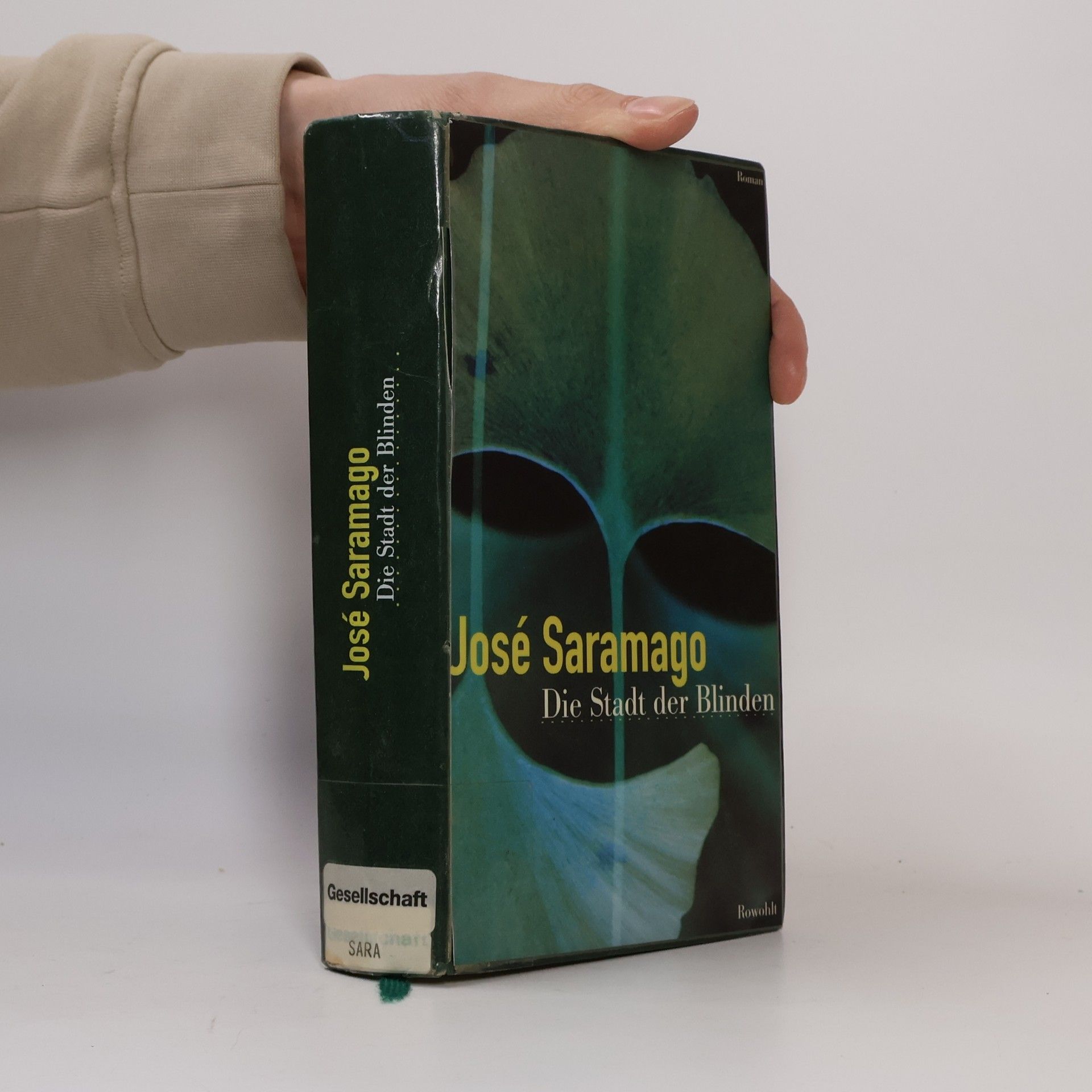 José Saramago Die Stadt der Blinden