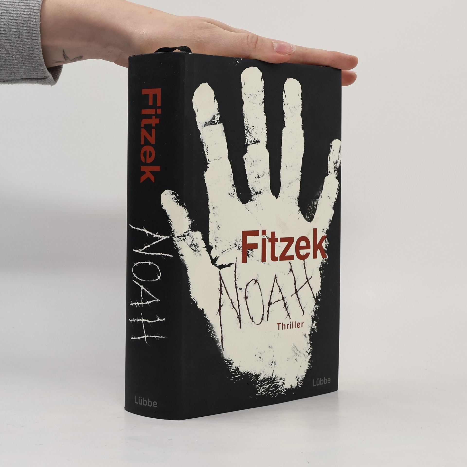 Sebastian Fitzek Noah