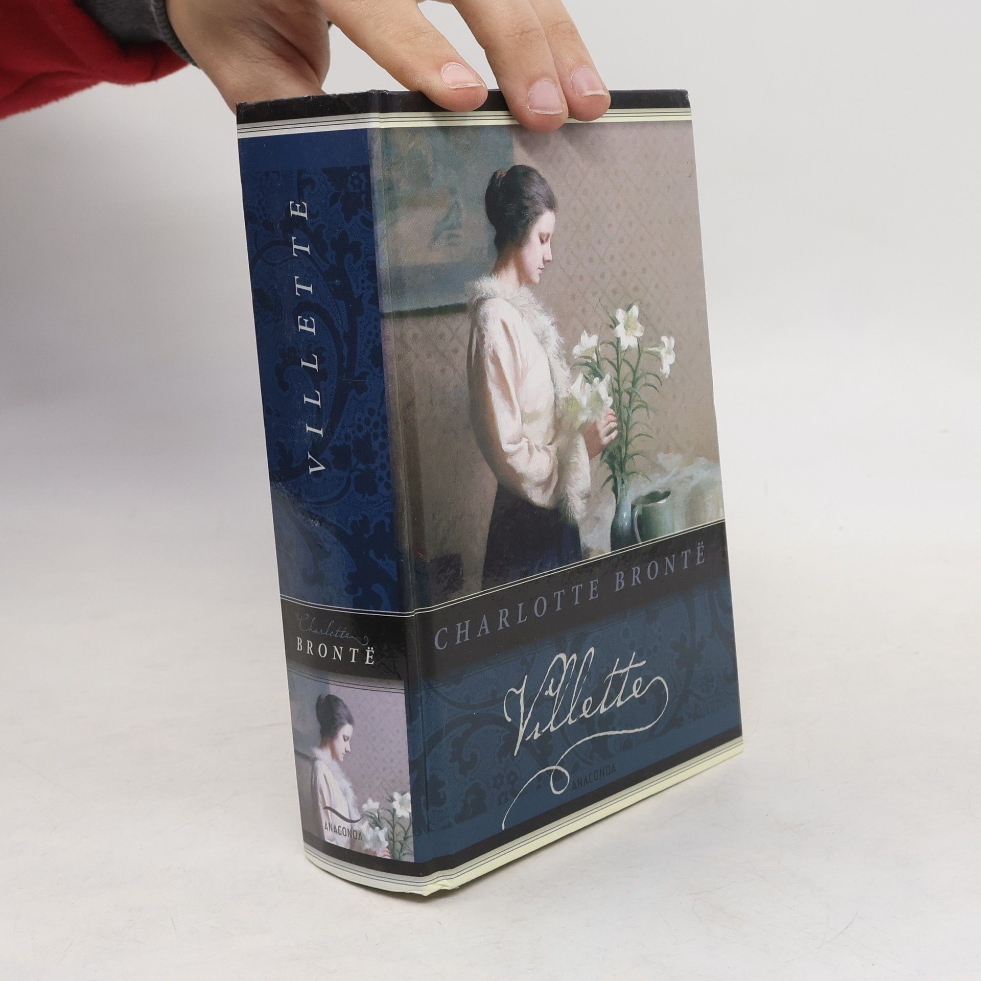 Charlotte Brontë Villette