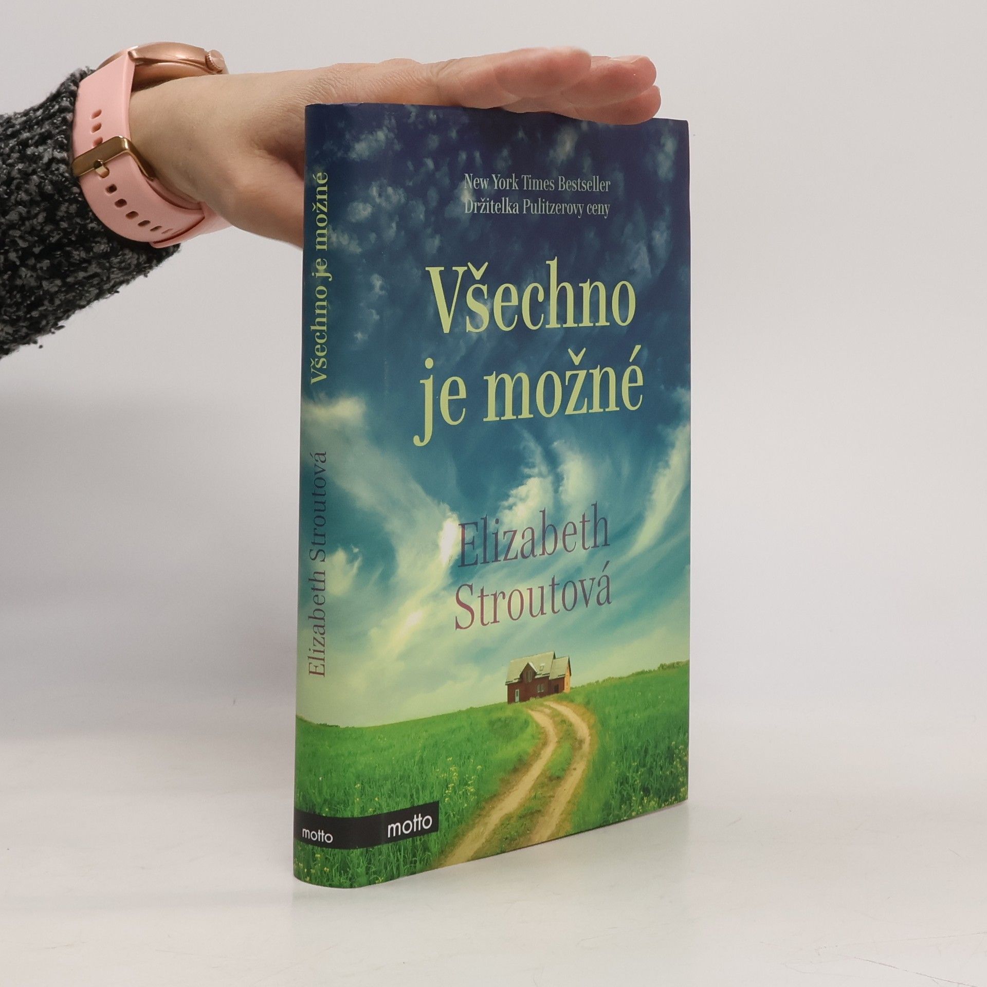 Elizabeth Strout Všechno je možné