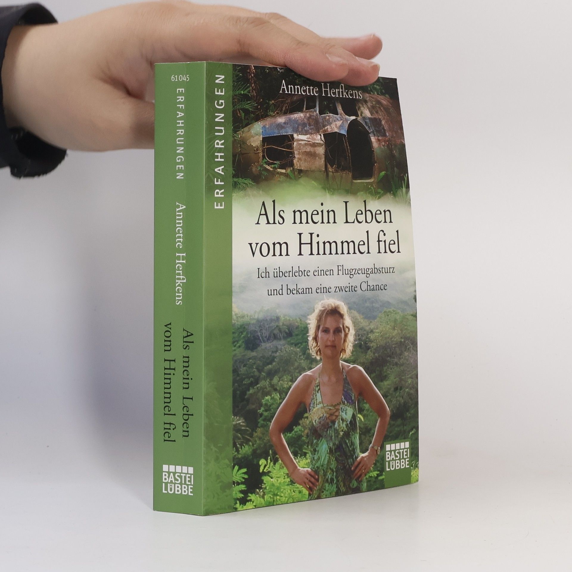 Annette Herfkens Als mein Leben vom Himmel fiel