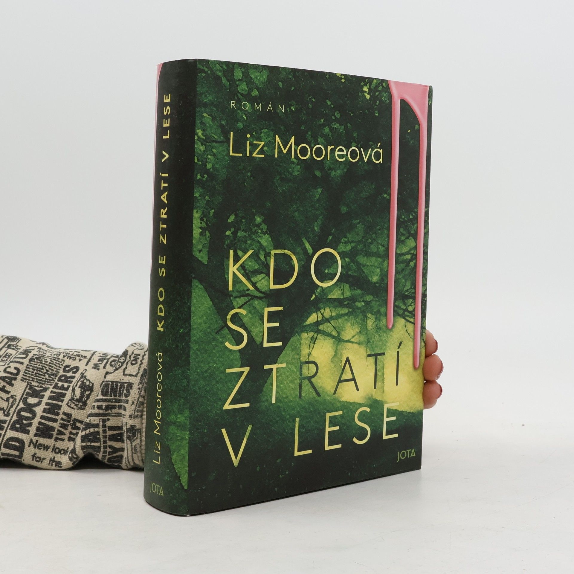 Liz Moore Kdo se ztratí v lese