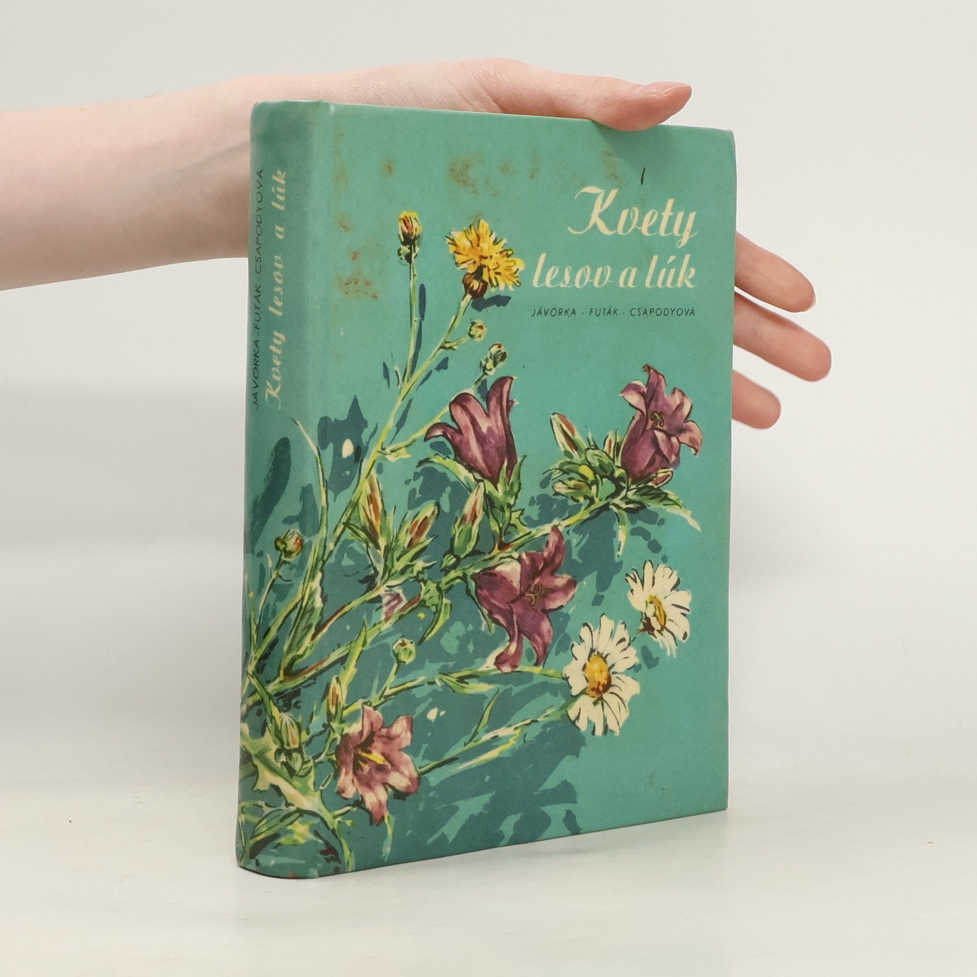 Autorenkollektiv Kvety lesov a lúk