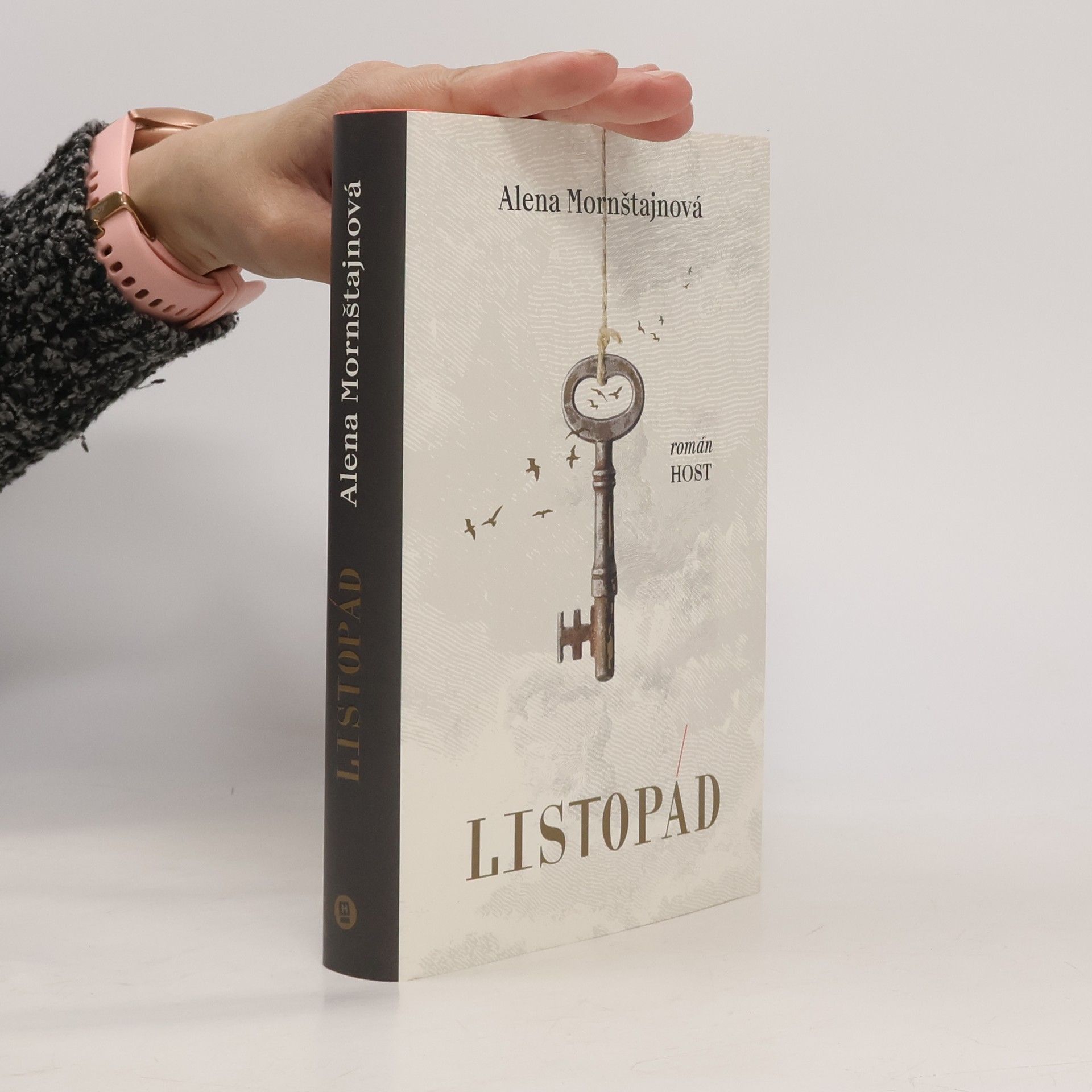 Alena Mornštajnová Listopád