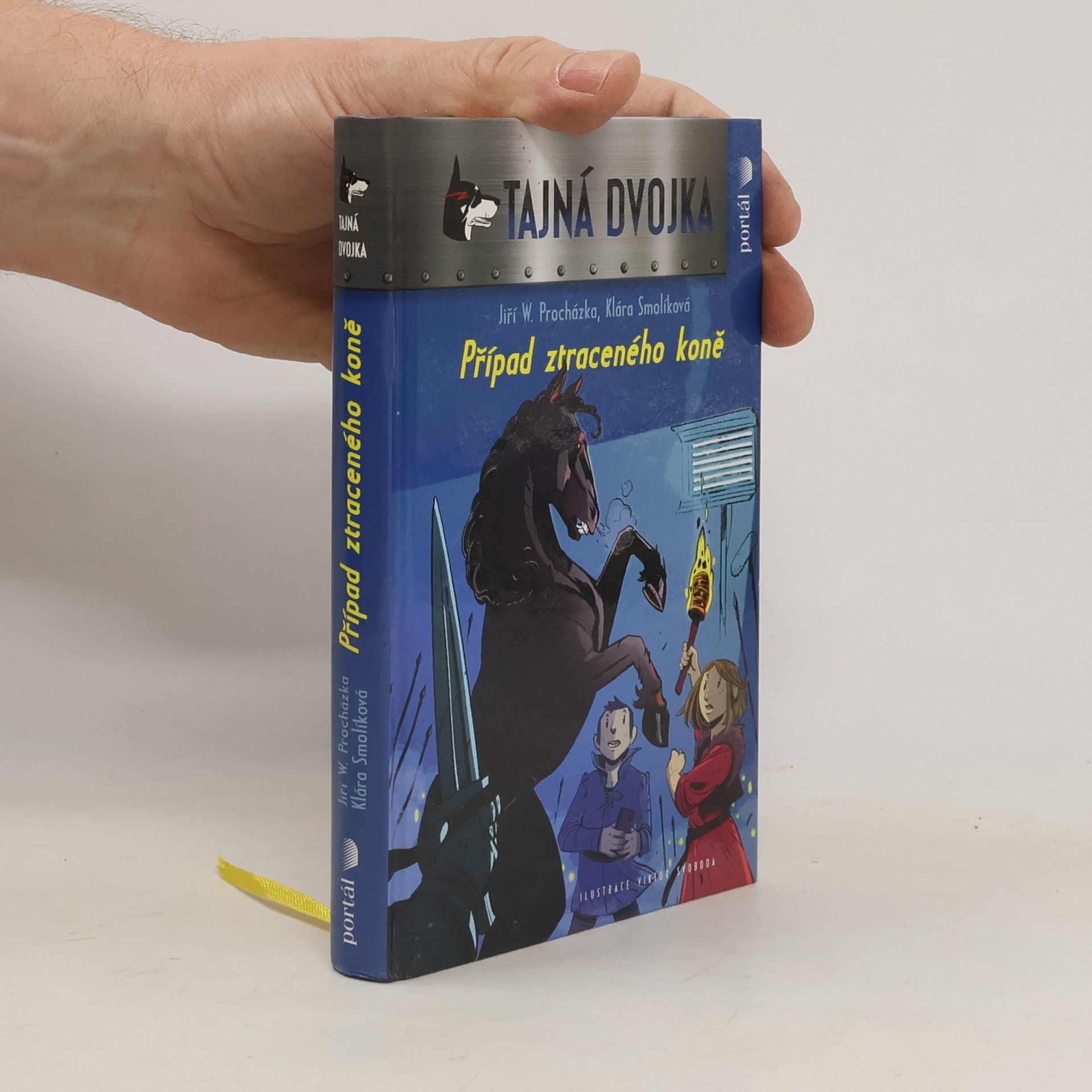 Případ ztraceného koně