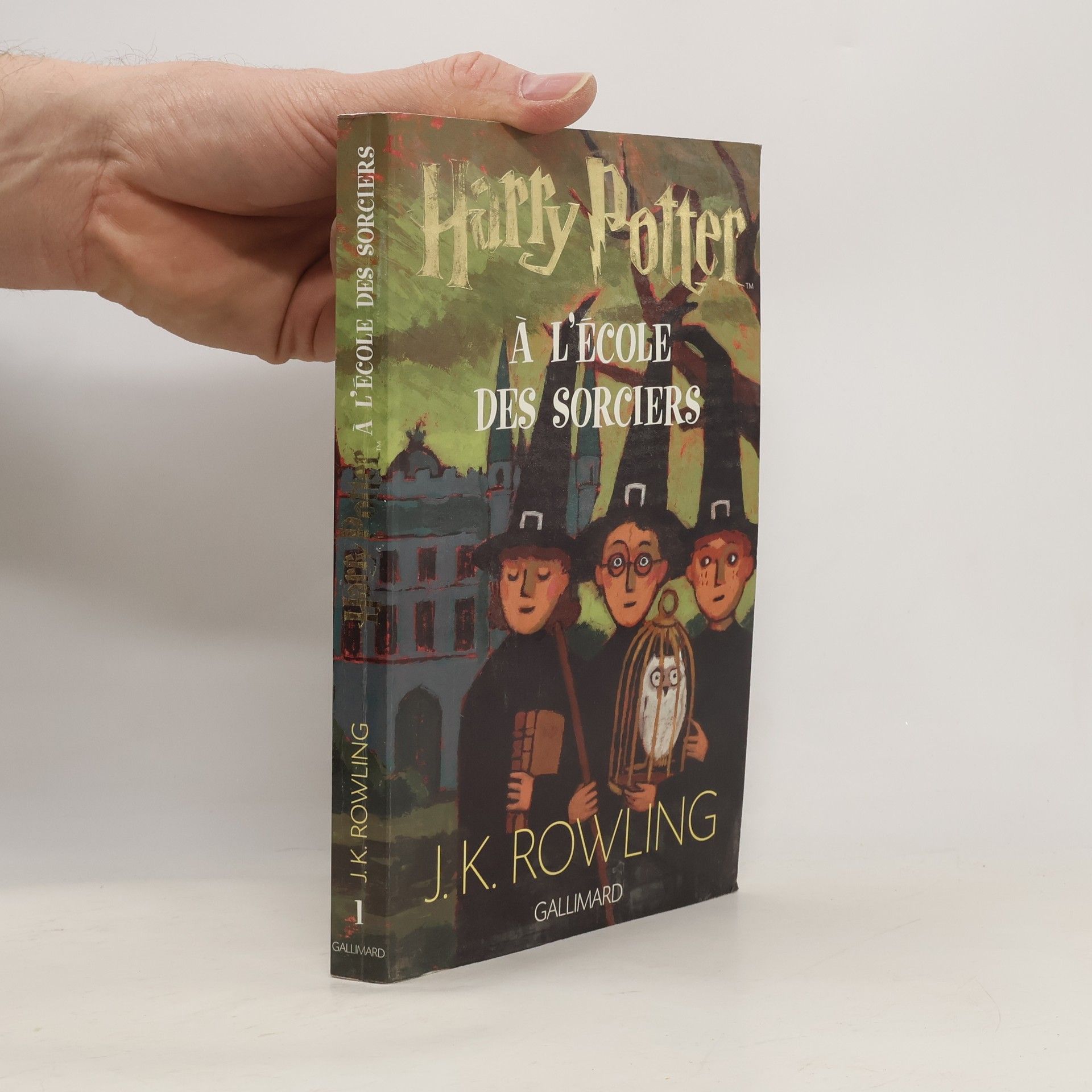 Joanne K. Rowlingová Harry Potter à l'école des sorciers