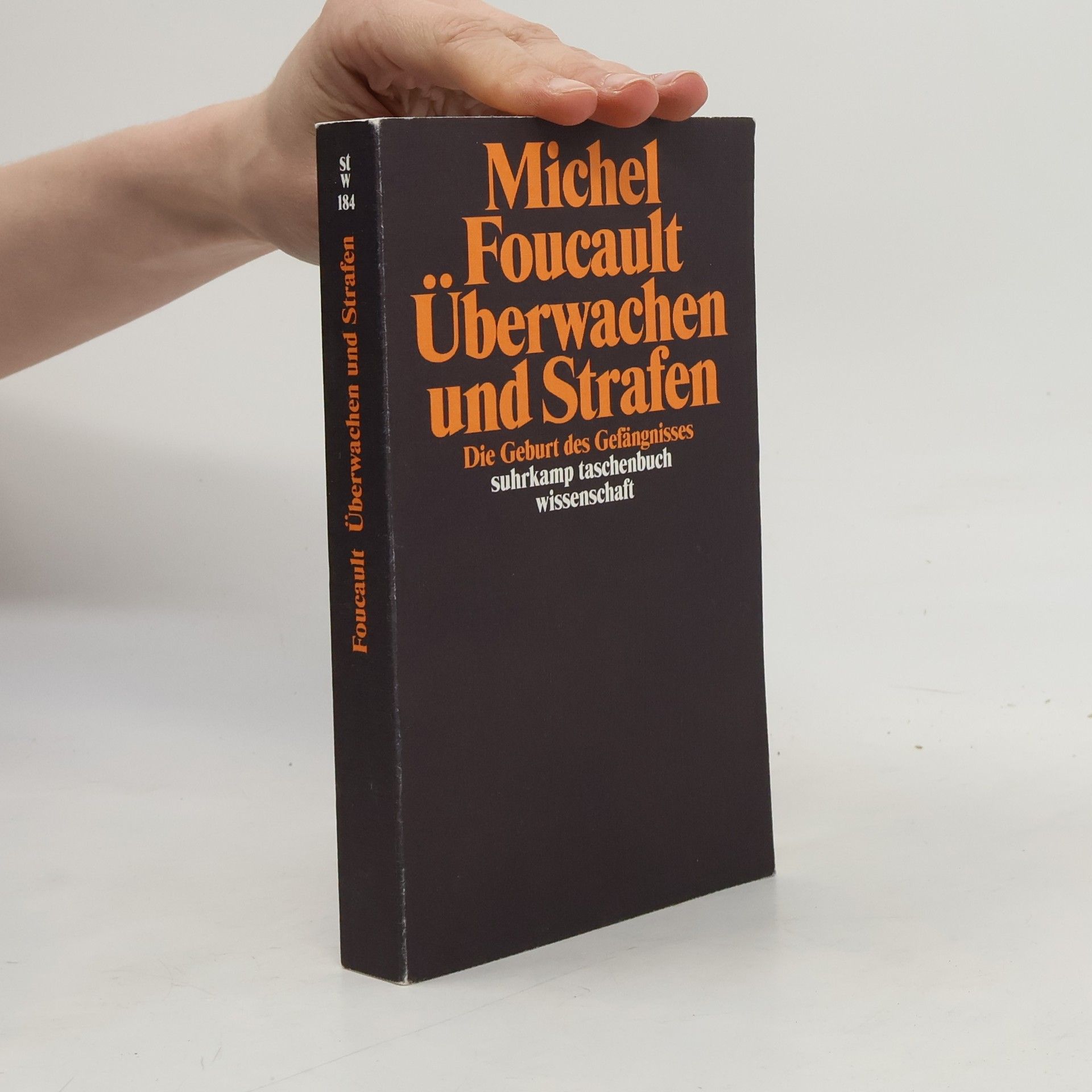 Michel Foucault Überwachen und Strafen