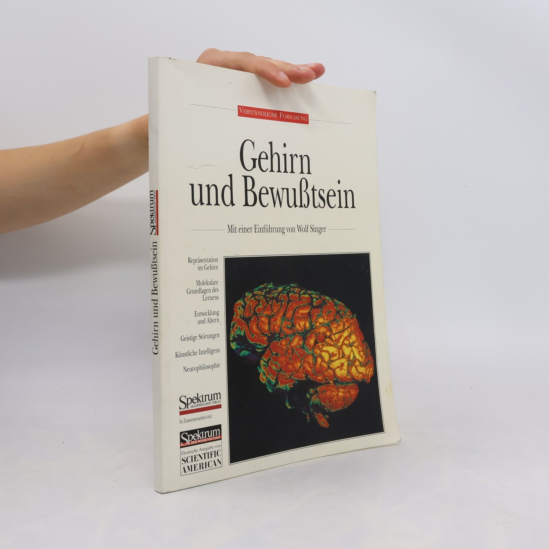 Wolf Singer Gehirn und Bewusstsein