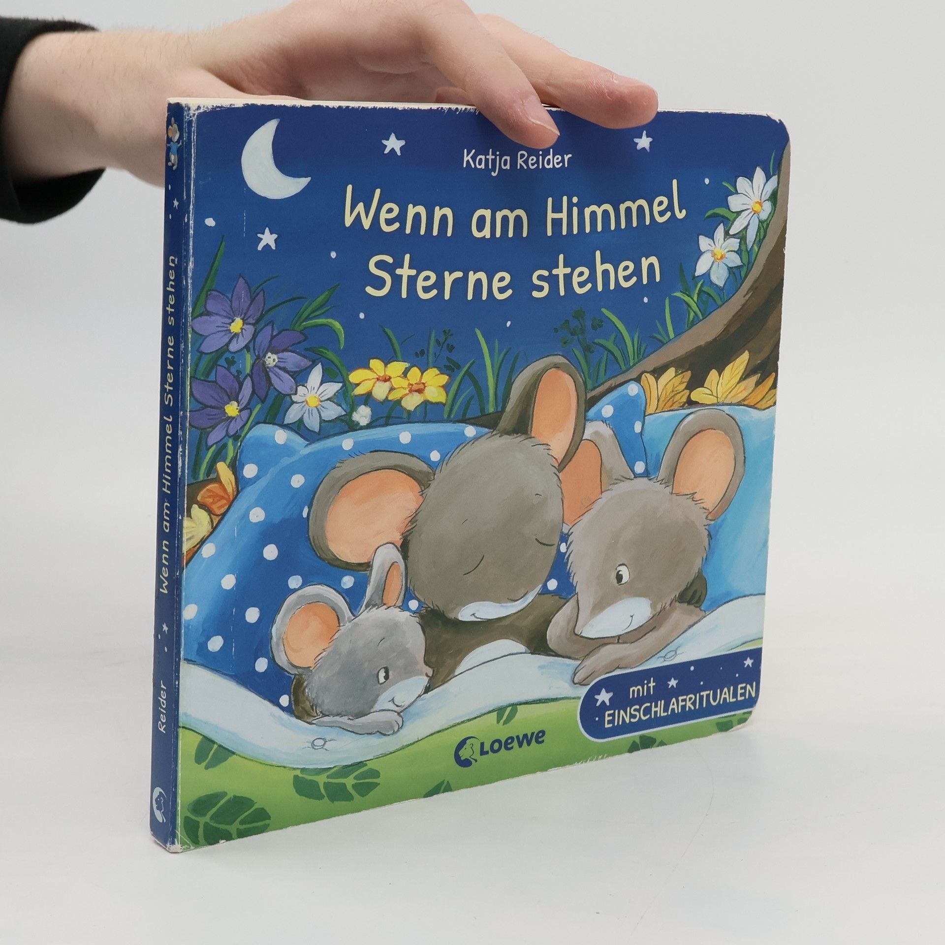 Katja Reider Wenn am Himmel Sterne stehen