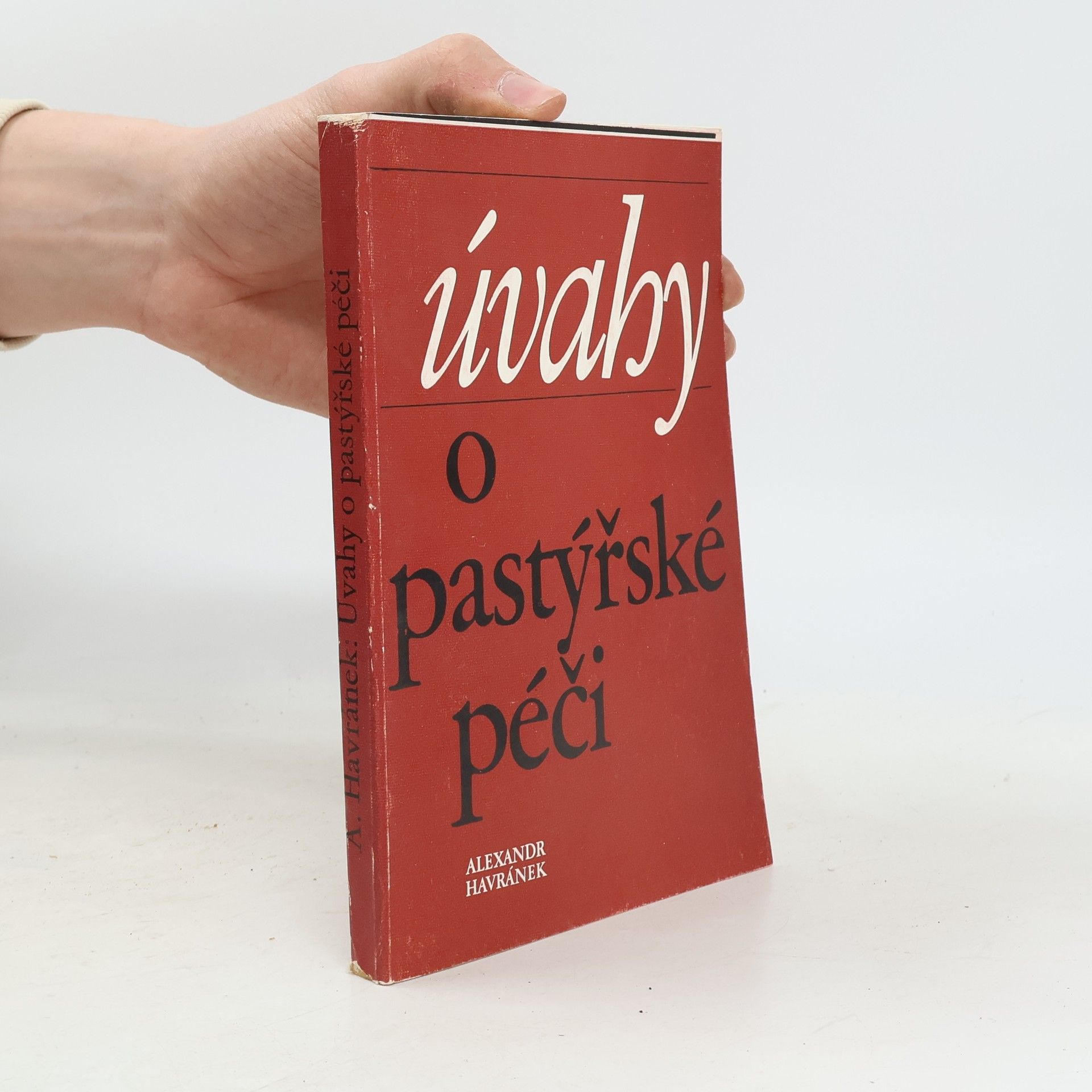 AA.VV. Úvahy o pastýřské péči