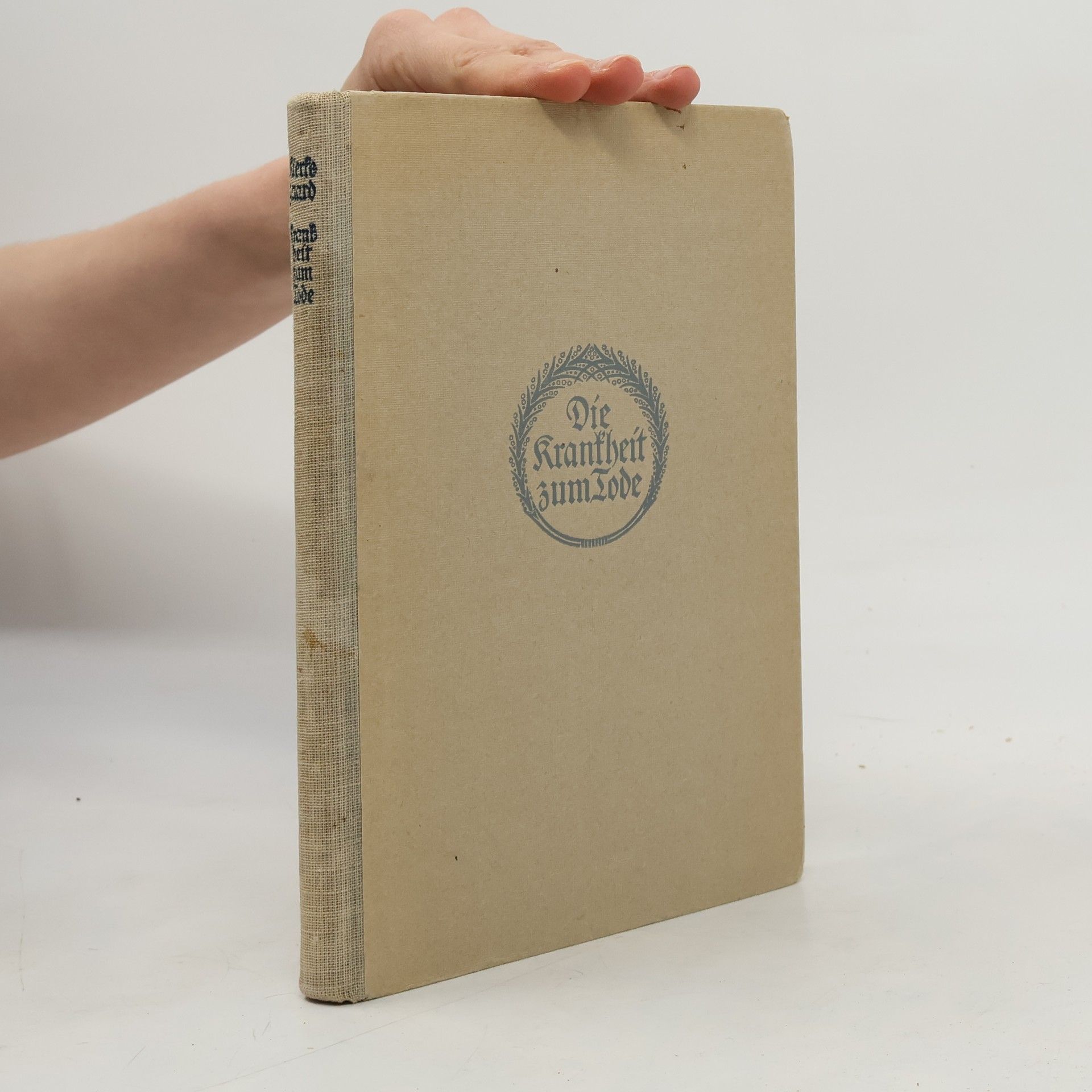 Søren Kierkegaard Die Krankheit zum Tode