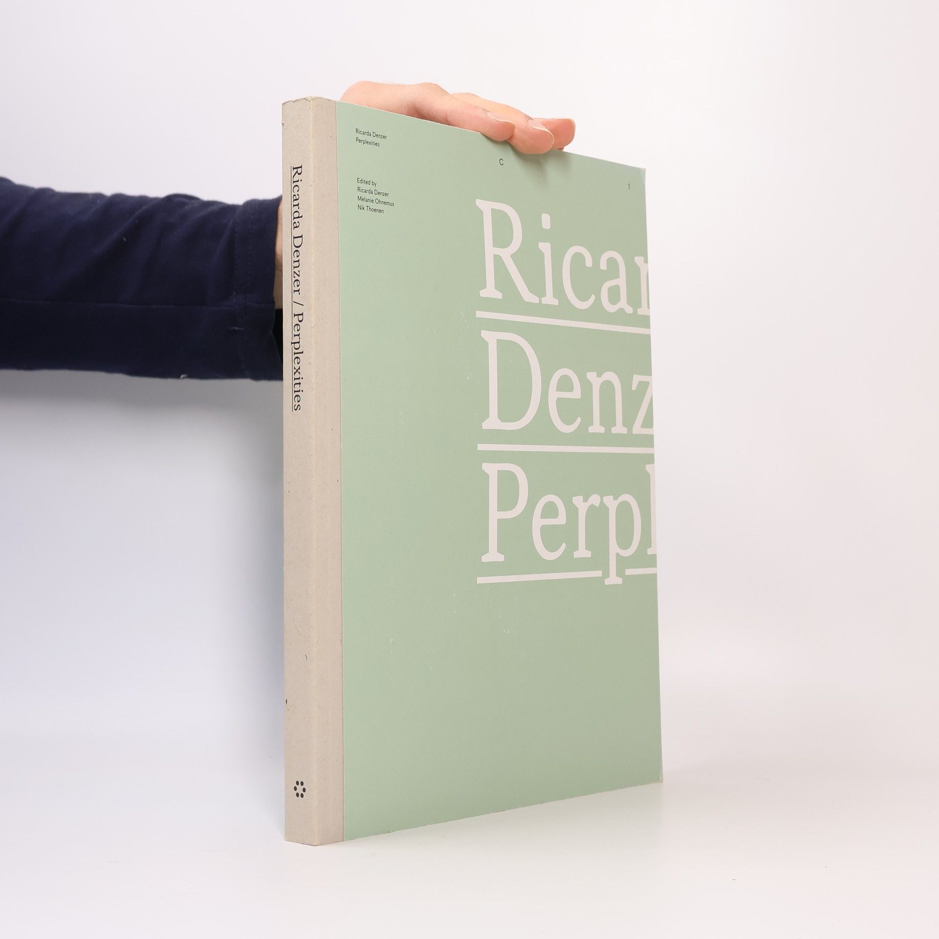 Ricarda Denzer Ricarda Denzer - Perplexities