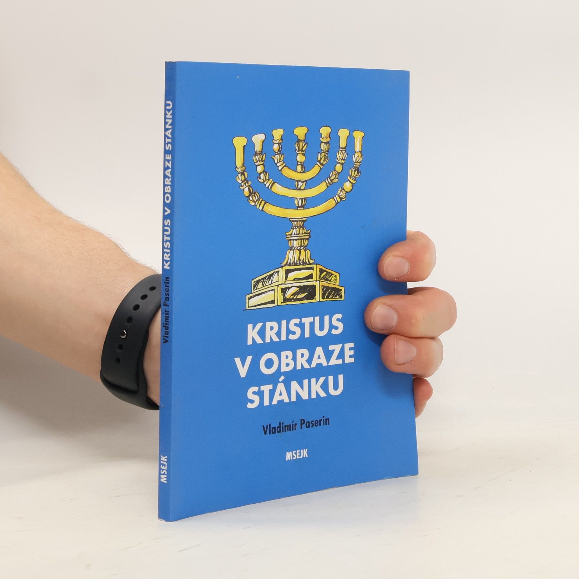 Vladimír Paserin Kristus v obraze stánku